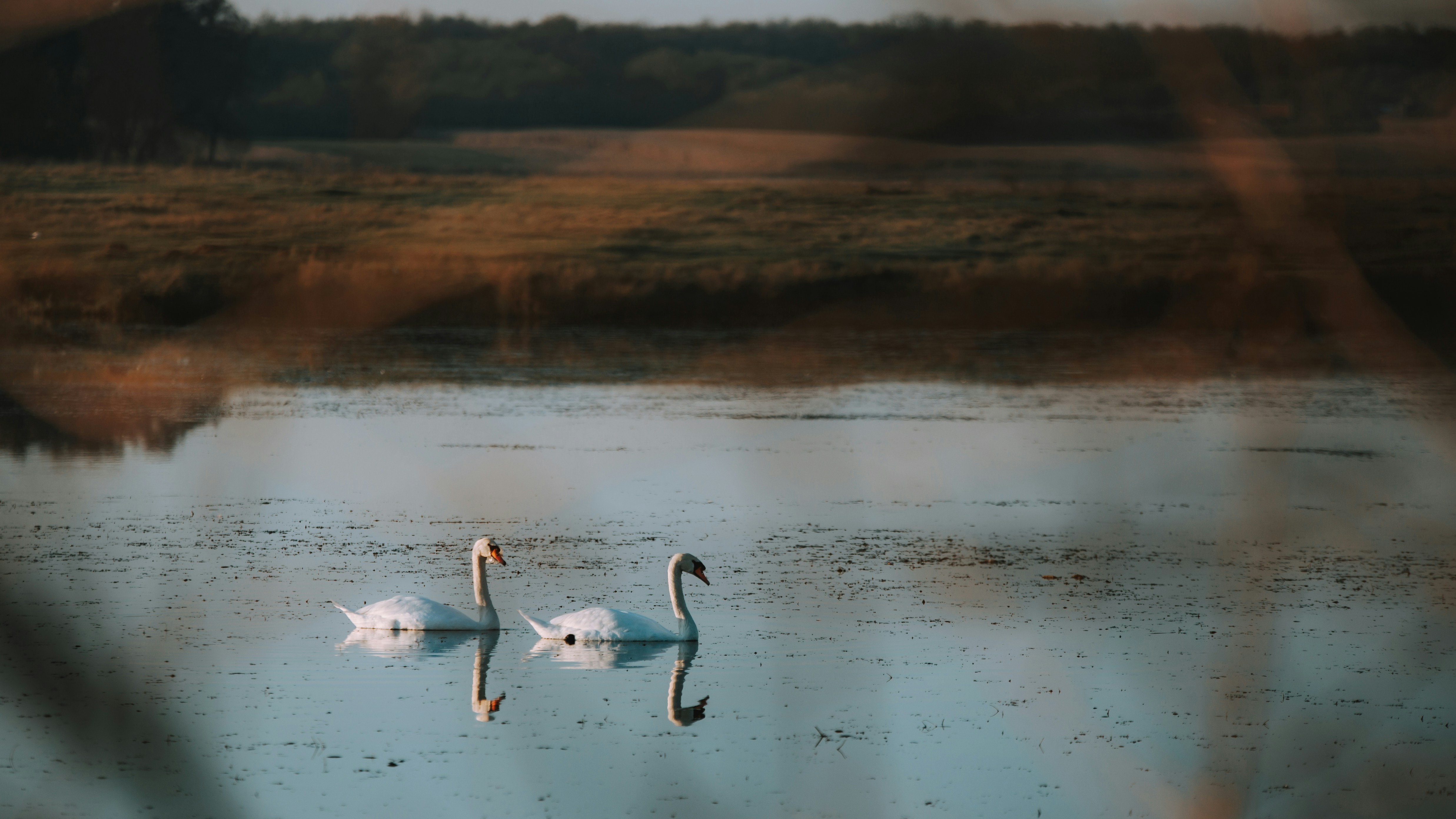 Photo by sylvester_s