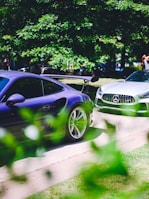 Two high-performance sports cars are parked on a sunny day. The foreground features a purple car with a prominent rear spoiler, while a silver car is partially visible in the background. Lush green trees and scattered people create a vibrant, outdoor setting. The image captures a sense of luxury and speed.