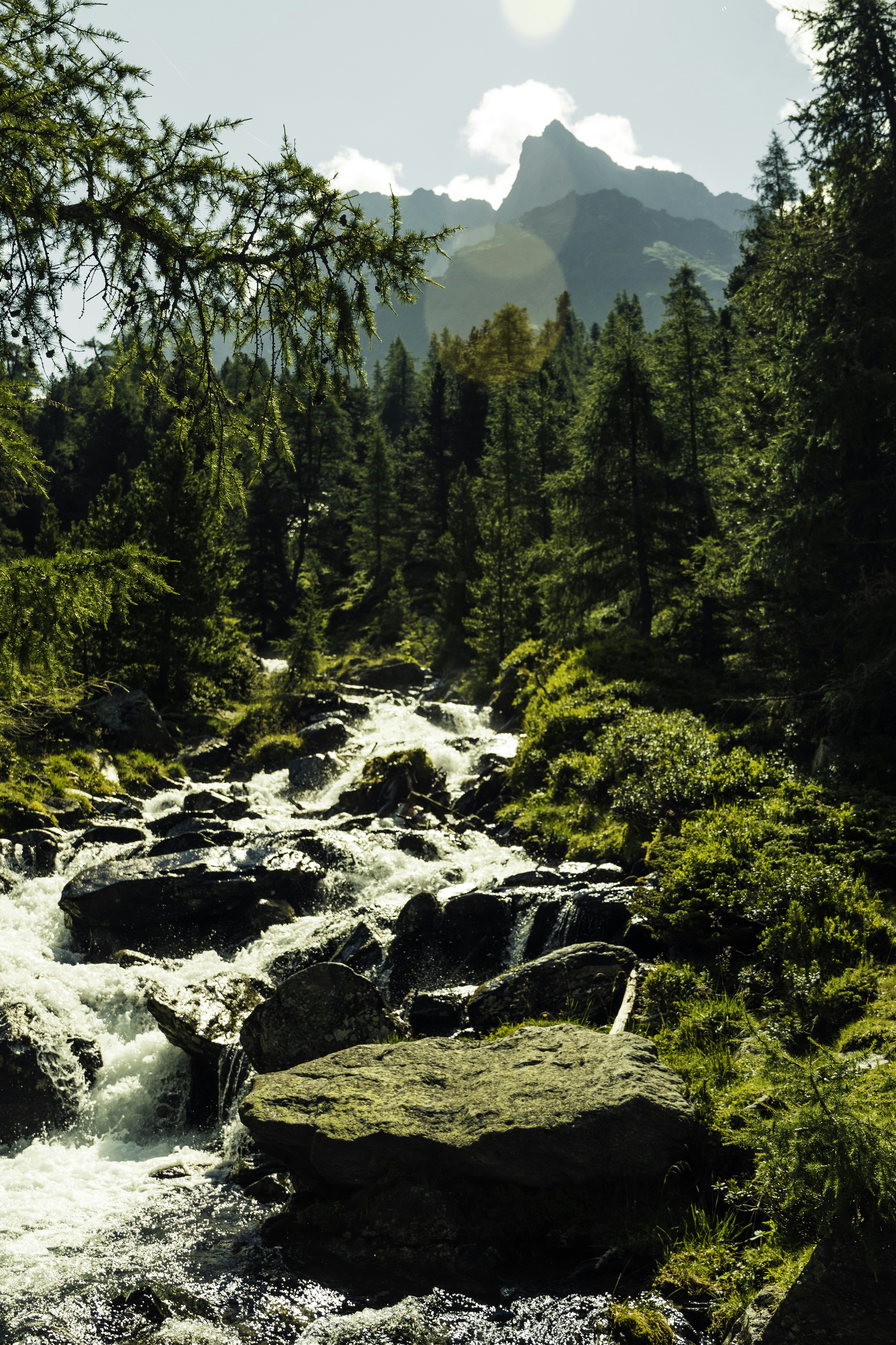 Photo by hanspetertraunig