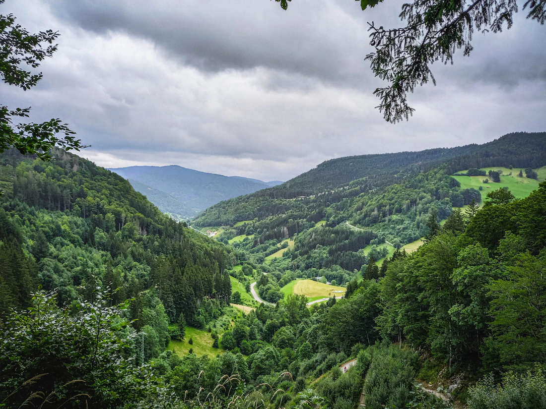 Foresta Nera e Lago di Costanza