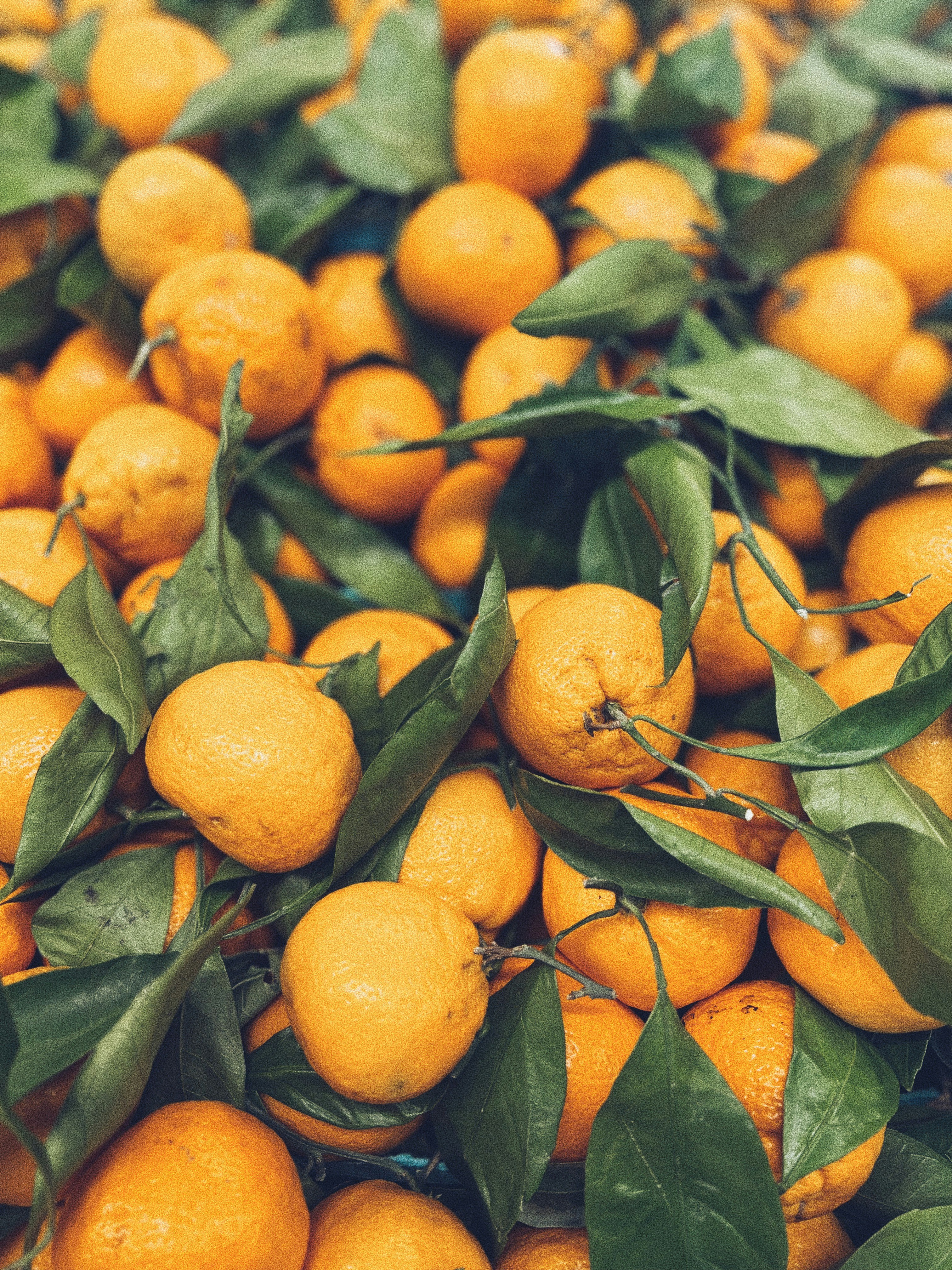 Photo by glennclaire