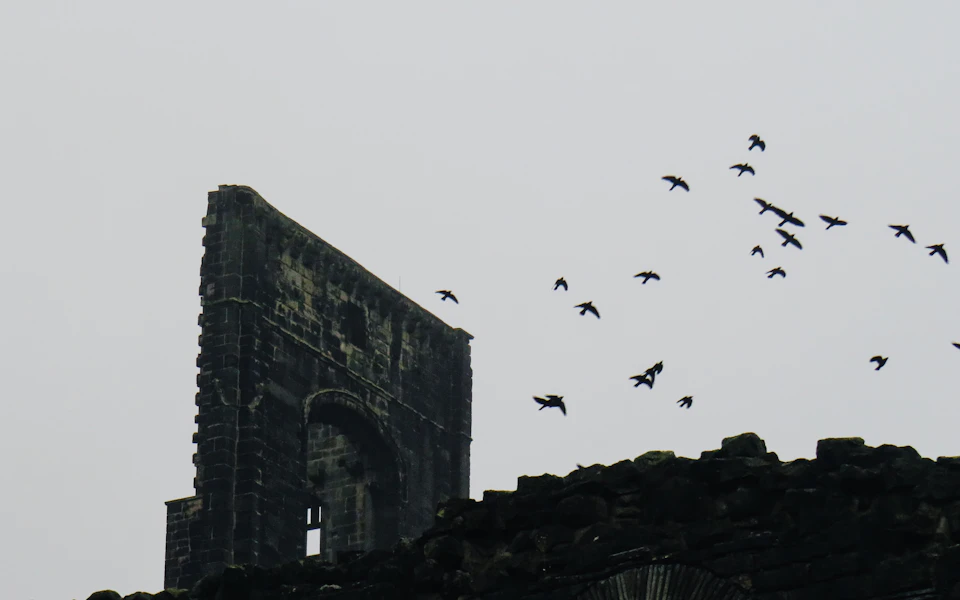 The image depicts a stone archway with two arches, one on each side, situated atop a rocky cliff face. The sky above is overcast and gray, creating an atmospheric backdrop for the scene. A flock of black birds can be seen flying in various directions around the archway, their silhouettes contrasting against the stone structure.

The perspective of the image is from below, looking up at the archway and the birds. This viewpoint emphasizes the height of both the archway and the cliff face, as well as the vastness of the sky above.