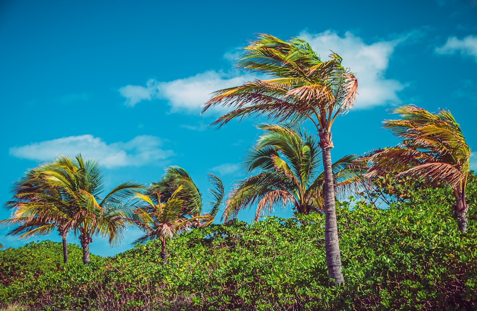 2026 Hurricane Season Forecast: 13 Named Storms — What It Means for Your Insurance Costs