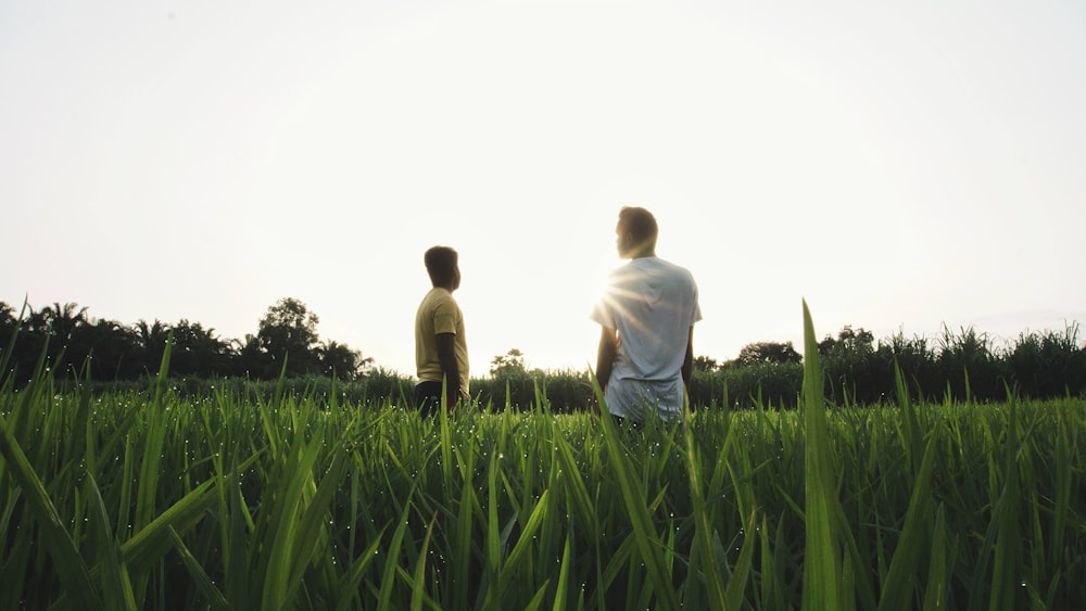 a couple of people standing in a field of grass