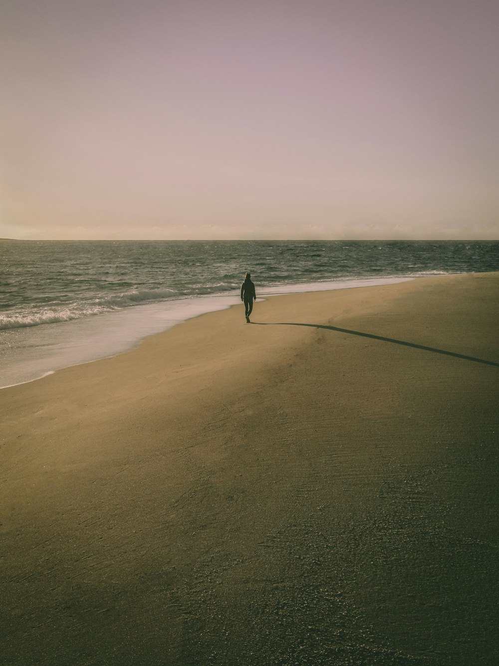 a person walking on a beach next to the ocean