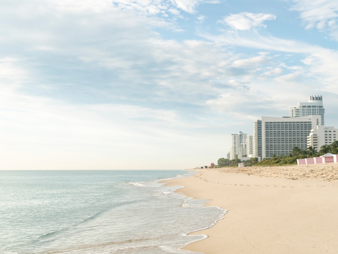 a view of a beach with buildings in the background,