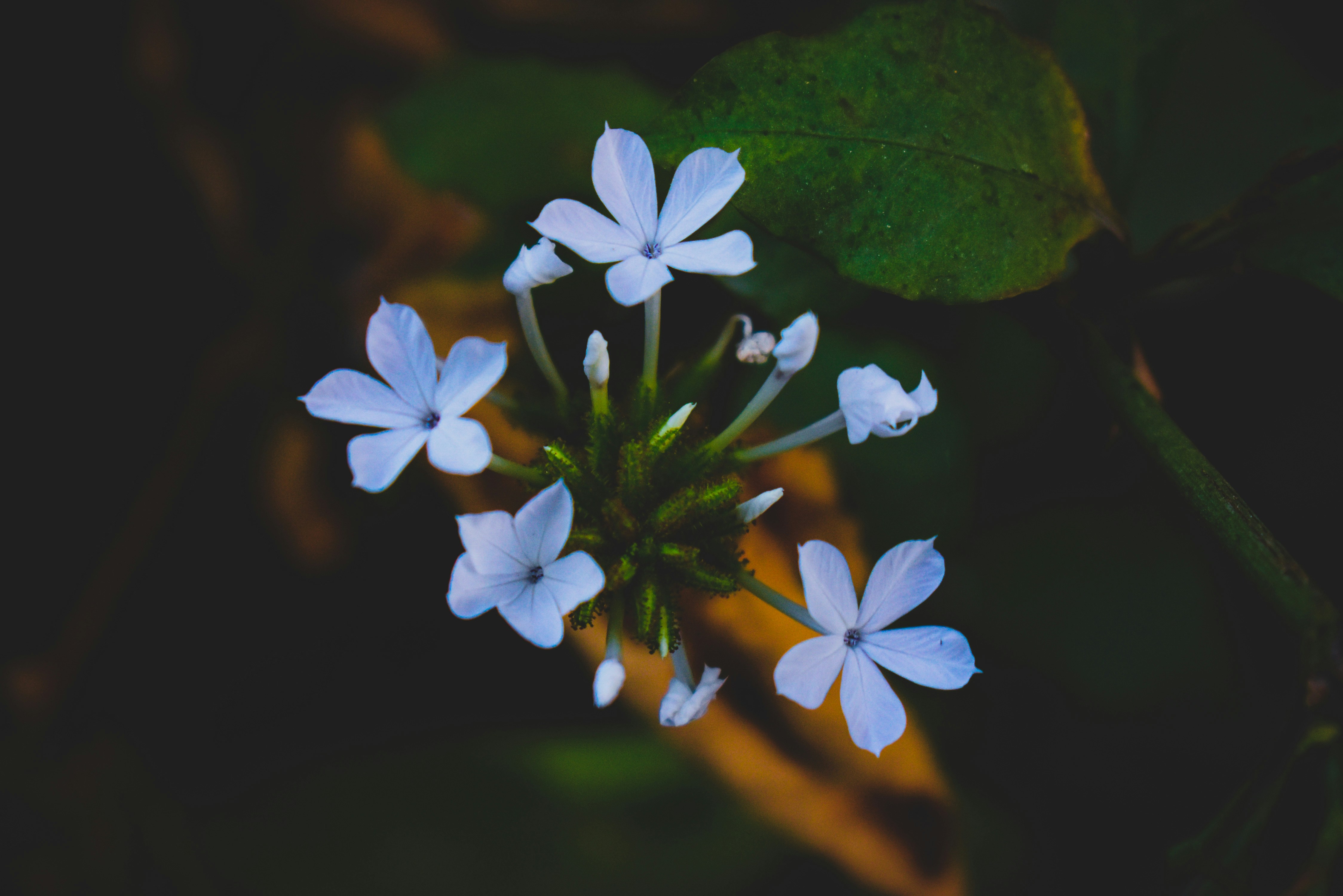 Photo by anandramavath_786