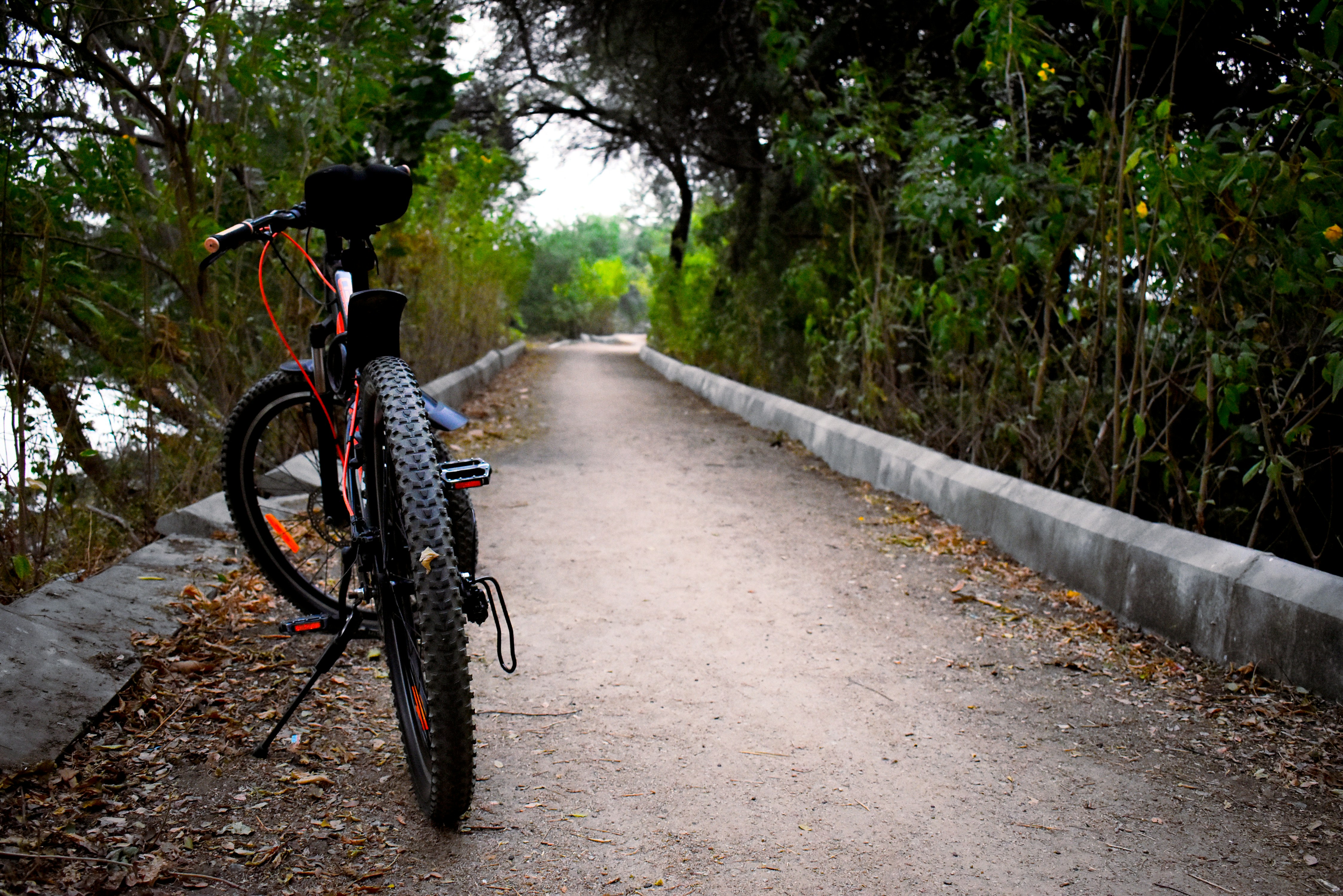 Photo by anandramavath_786