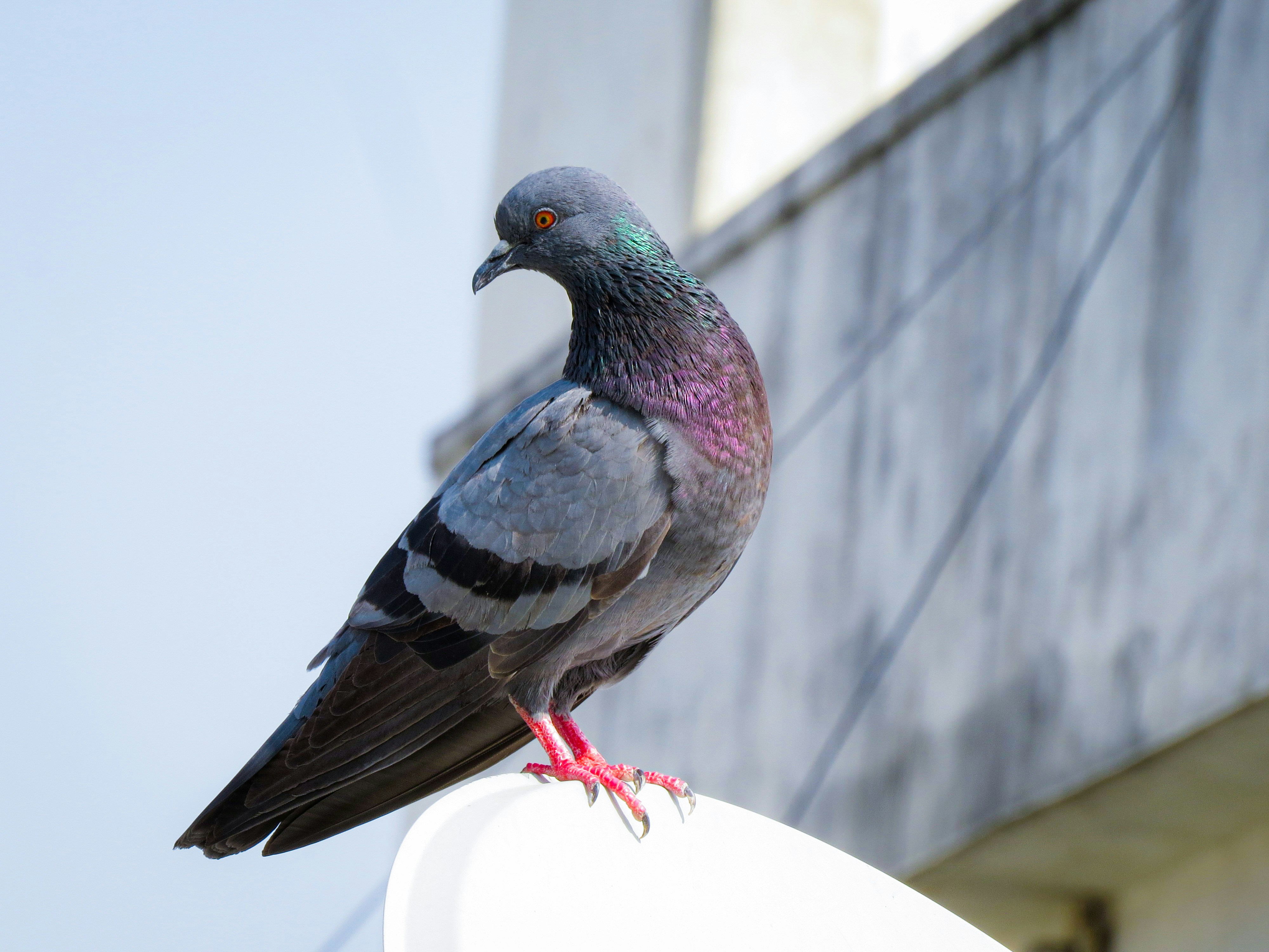 Photo by anandramavath_786