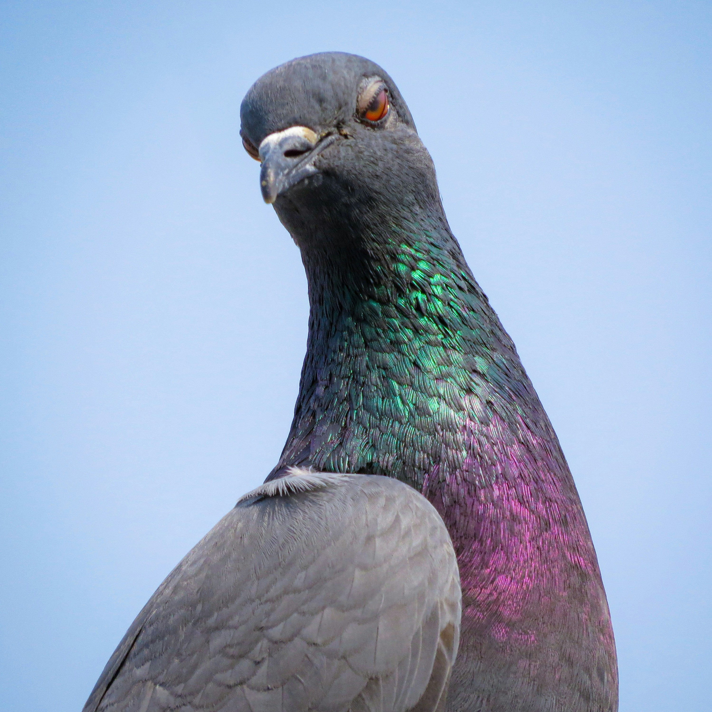 Photo by anandramavath_786