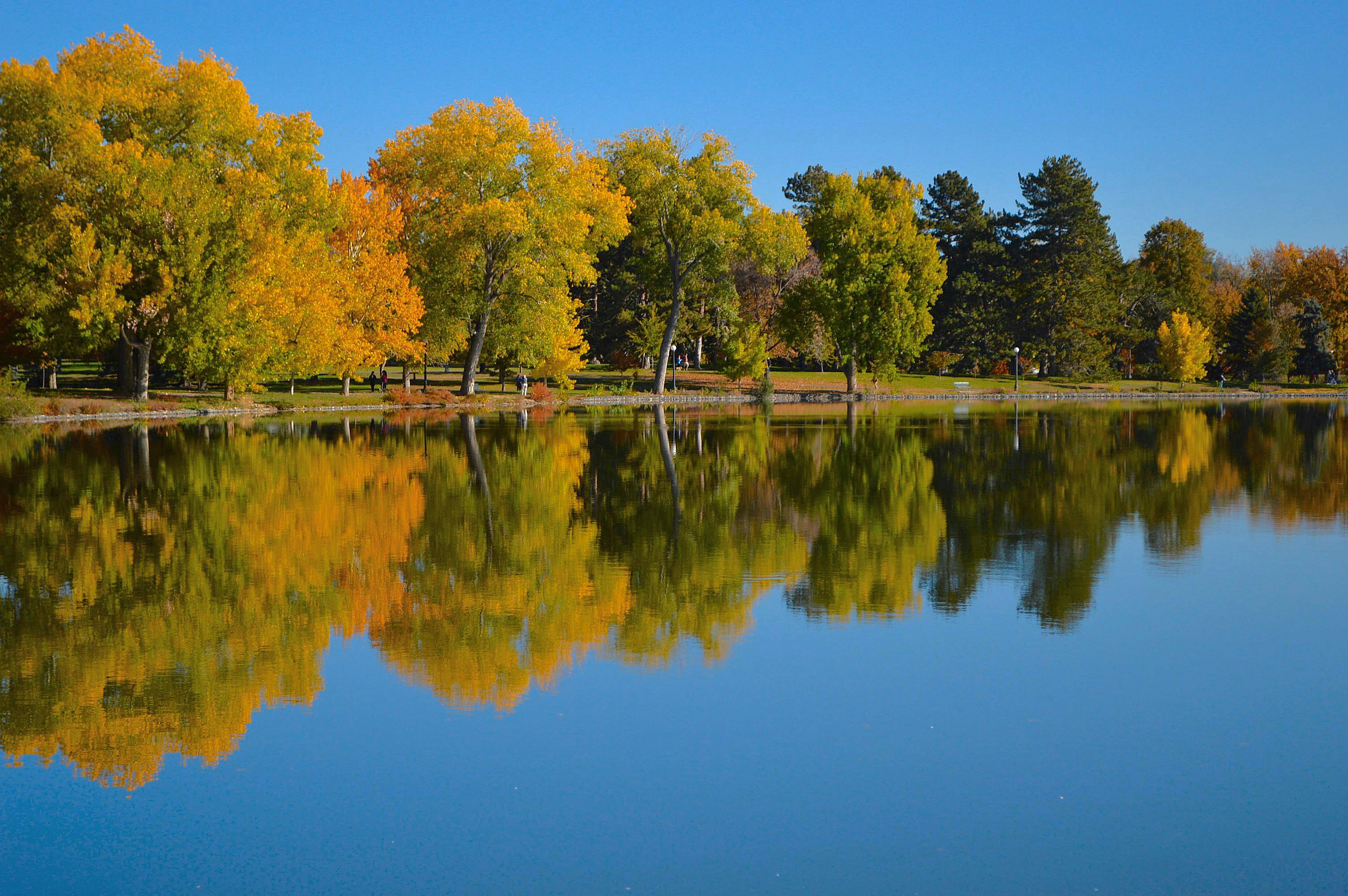 a body of water surrounded by lots of trees, 