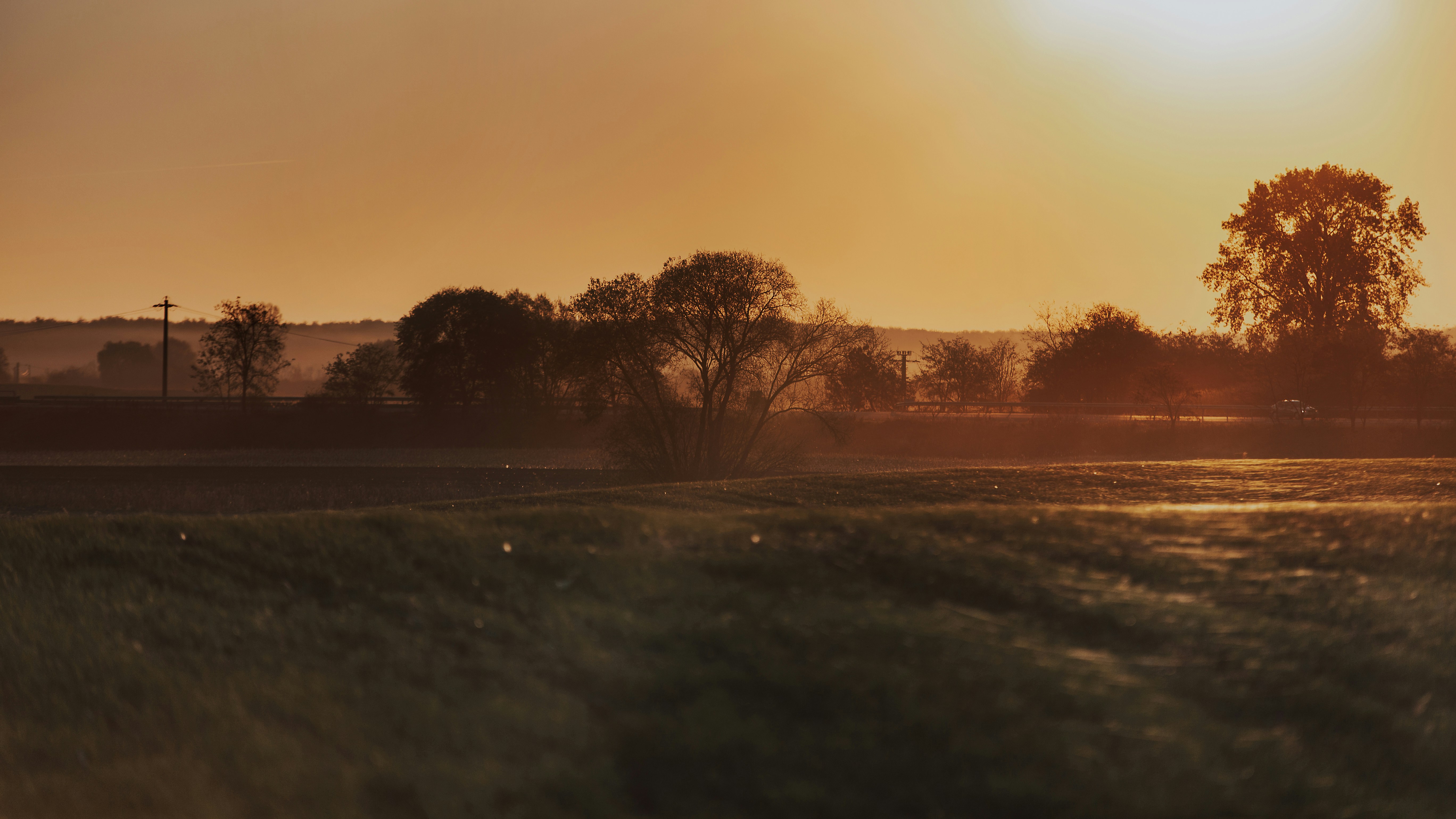 Photo by sylvester_s