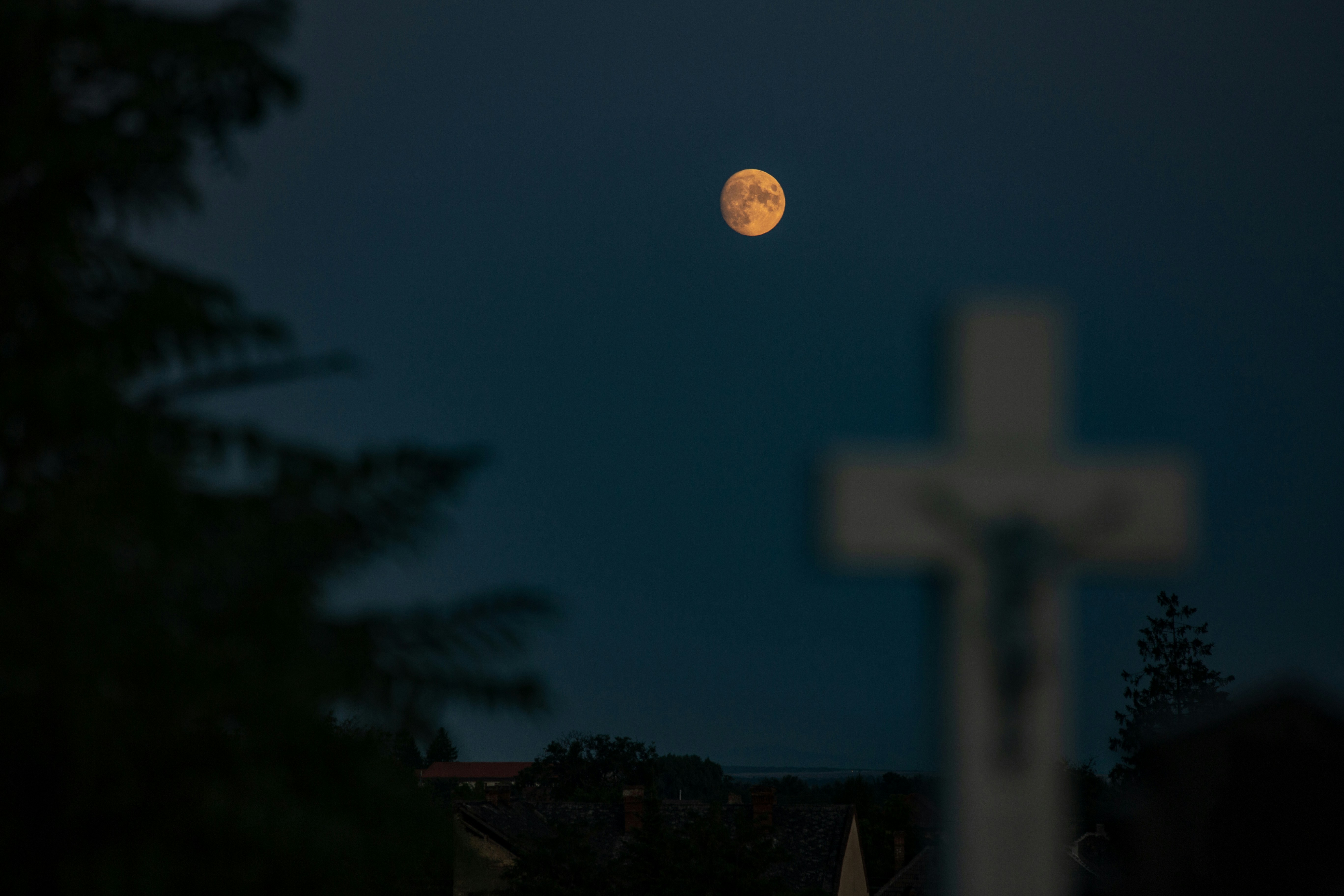 Photo by sylvester_s