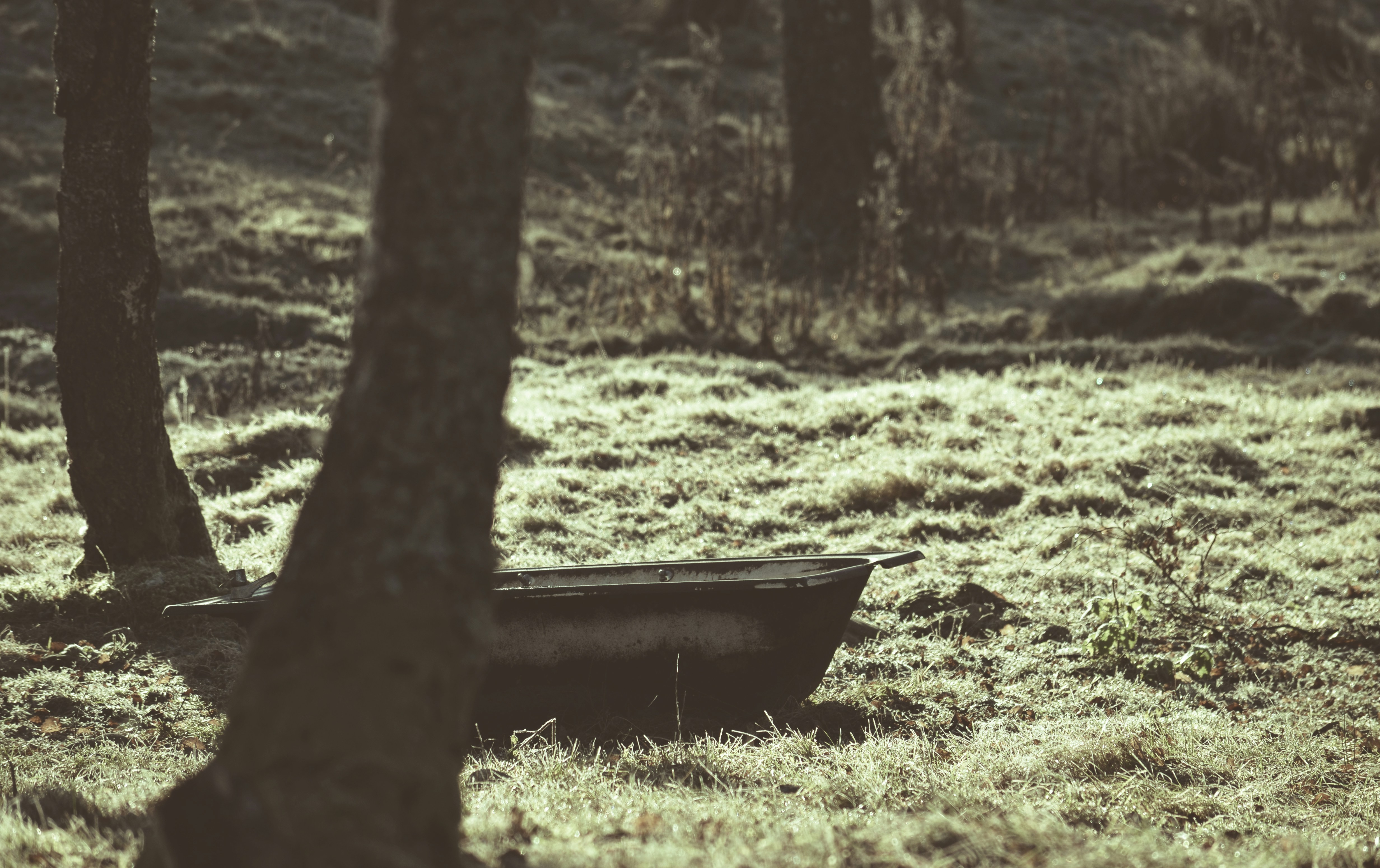 una vasca da bagno in mezzo a un campo erboso