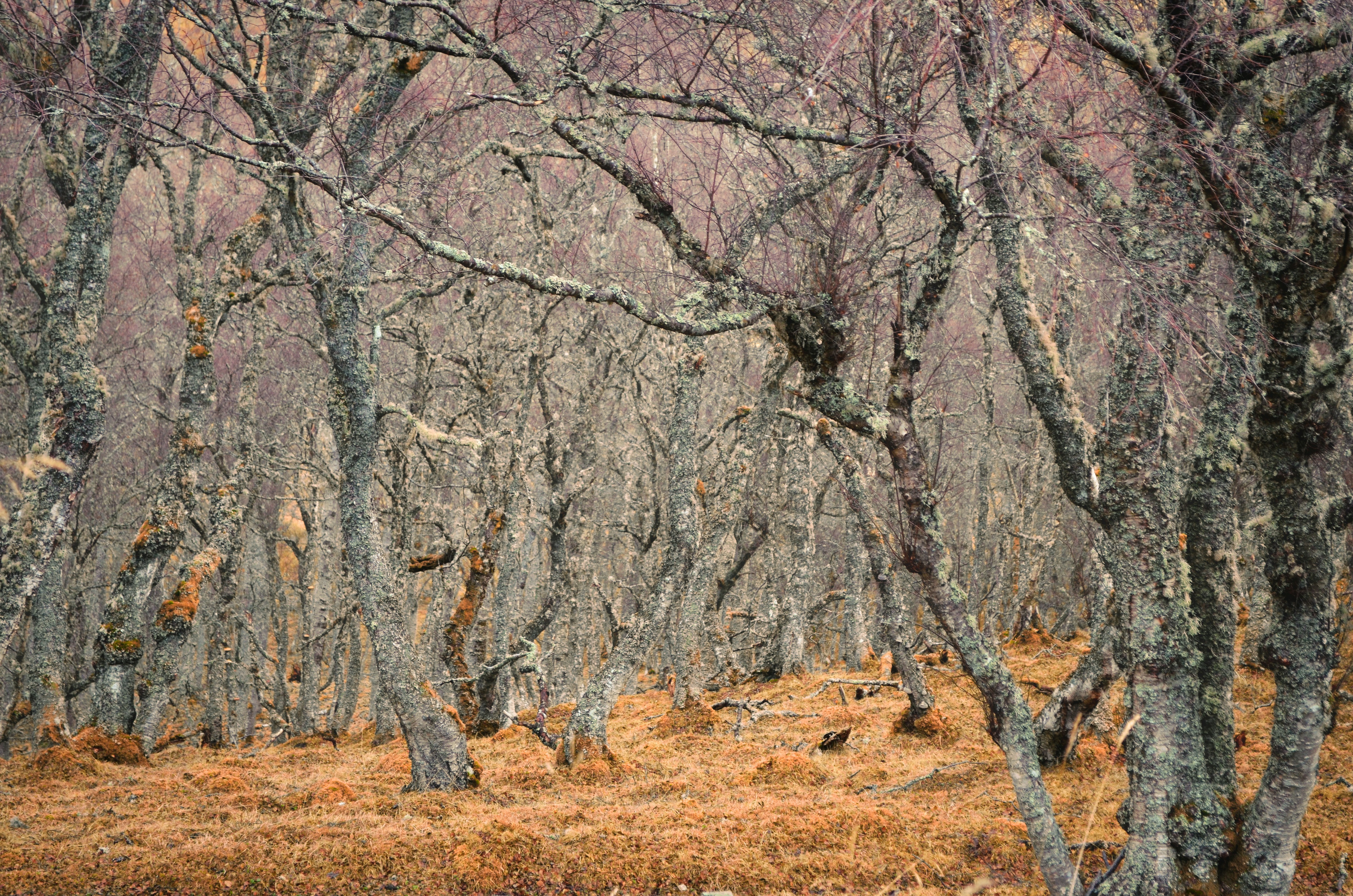 Photo by jetztabertempo