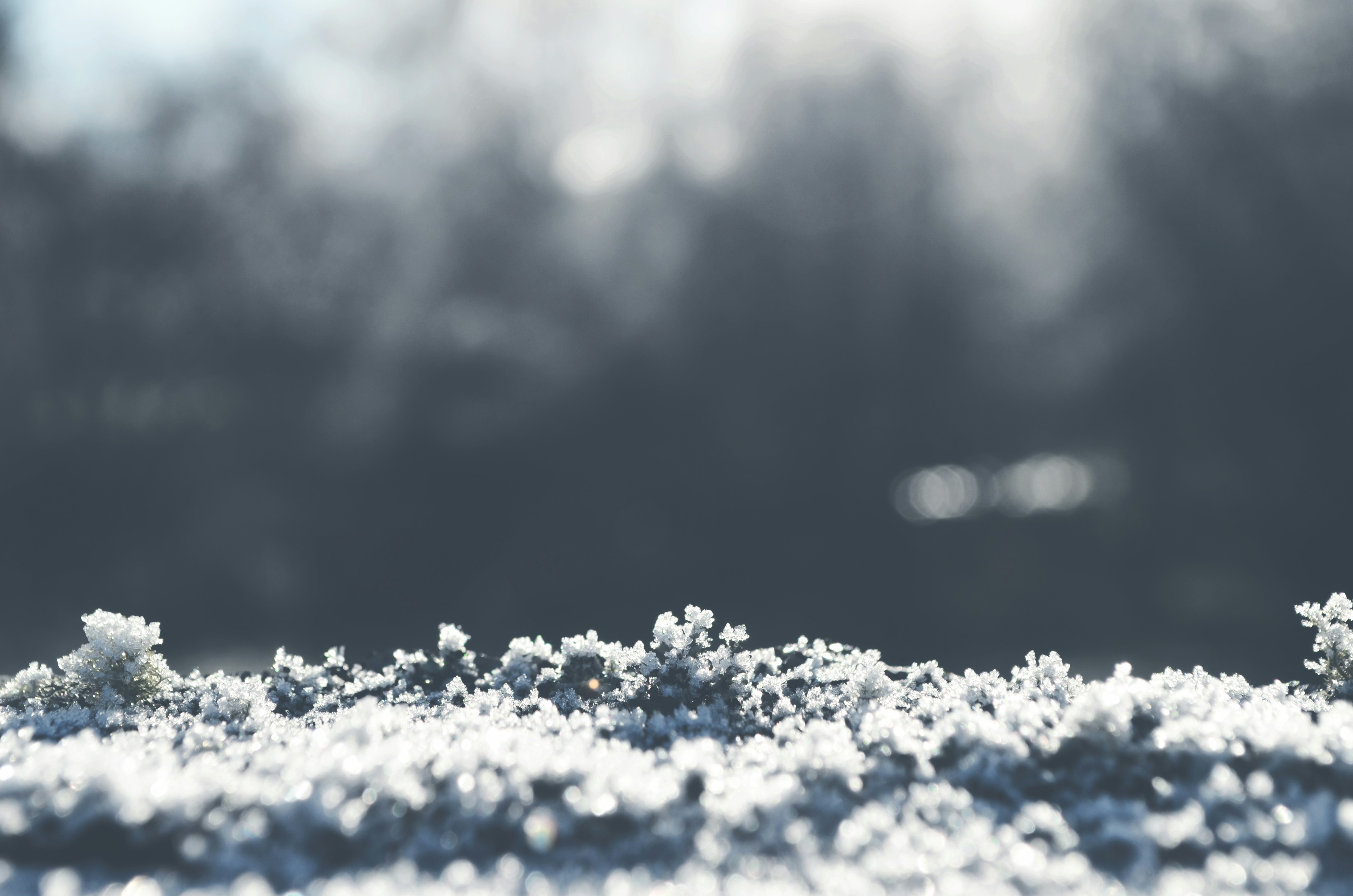 Photo by jetztabertempo