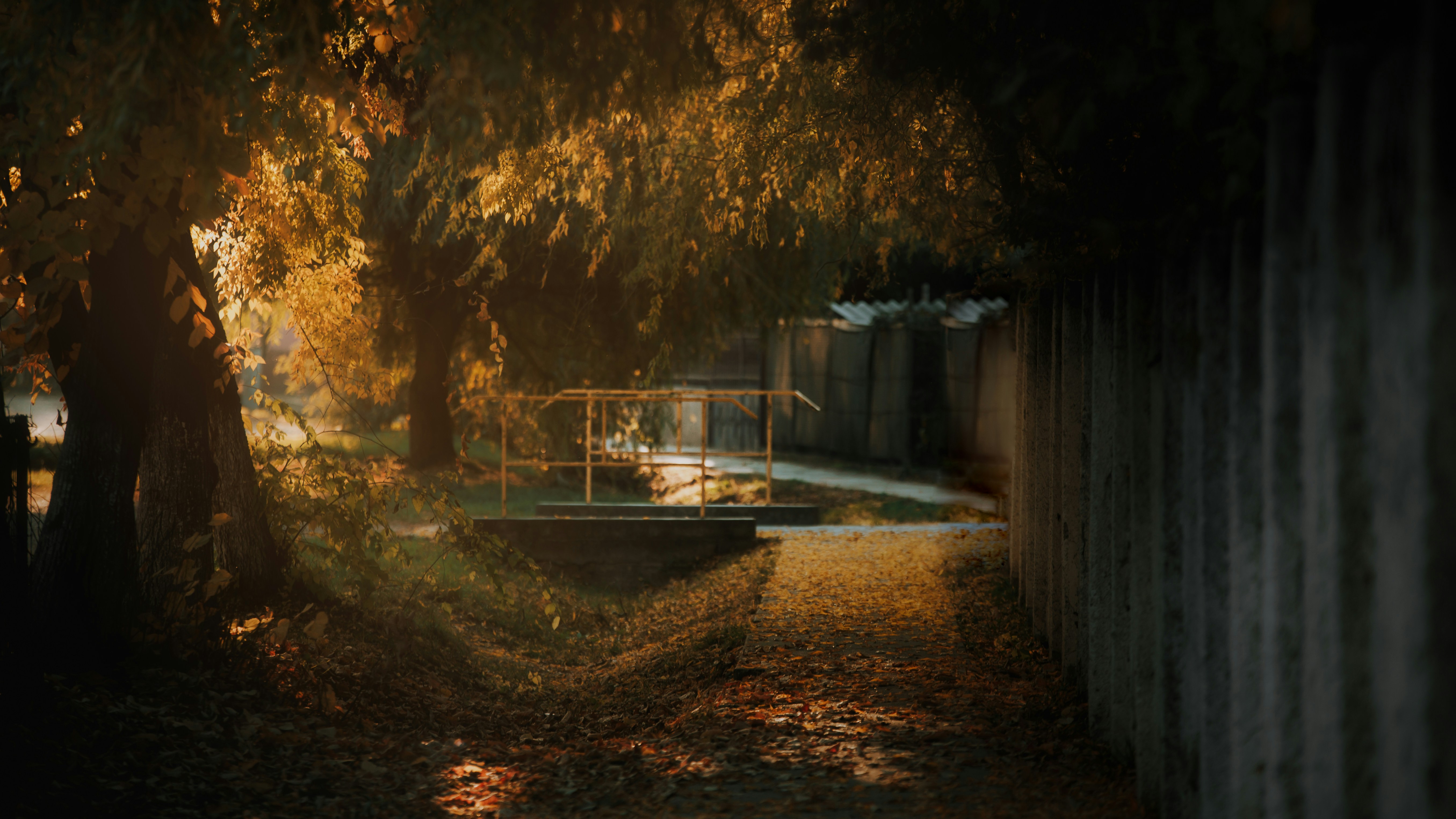 Photo by sylvester_s