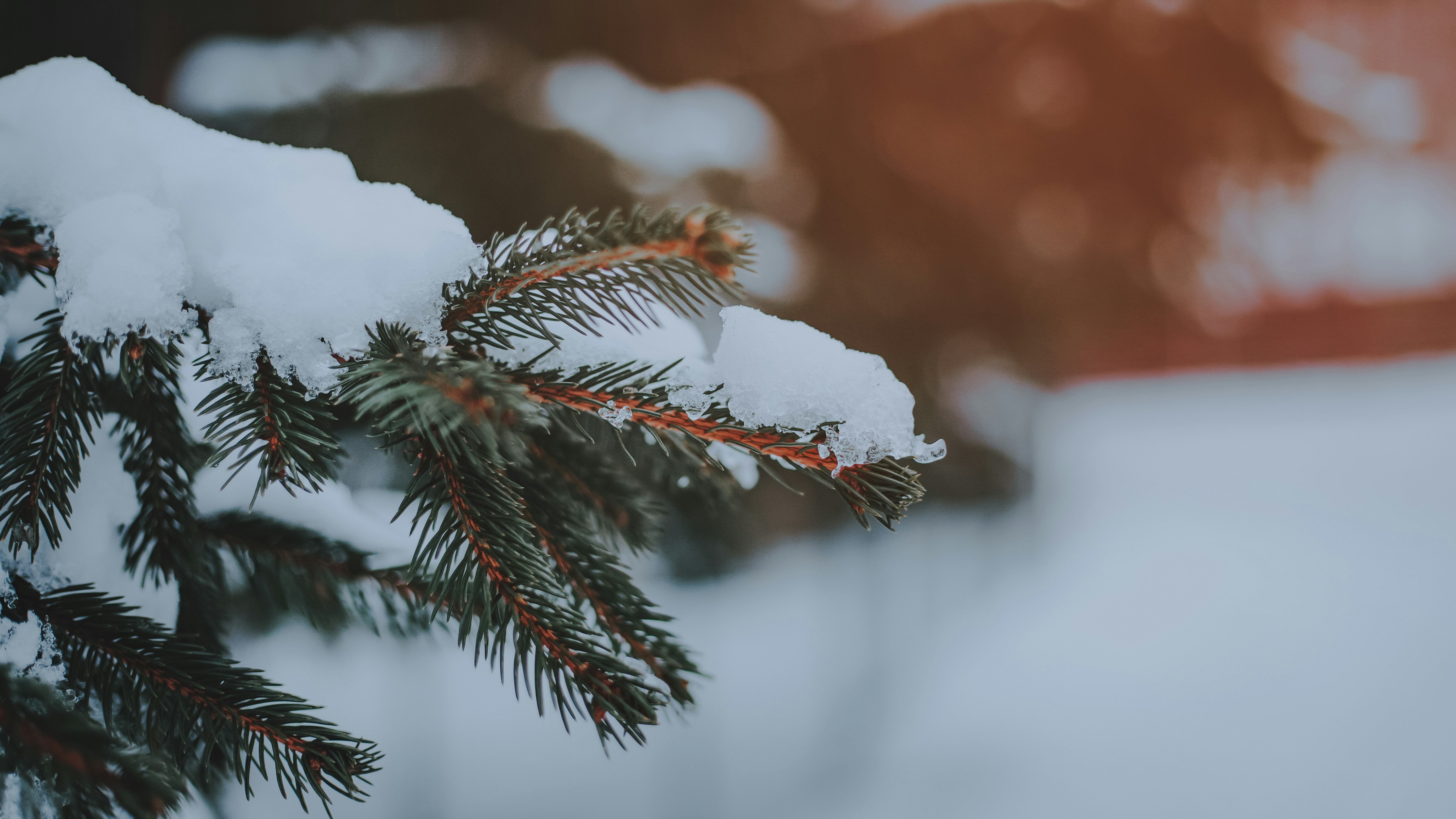 Photo by sylvester_s