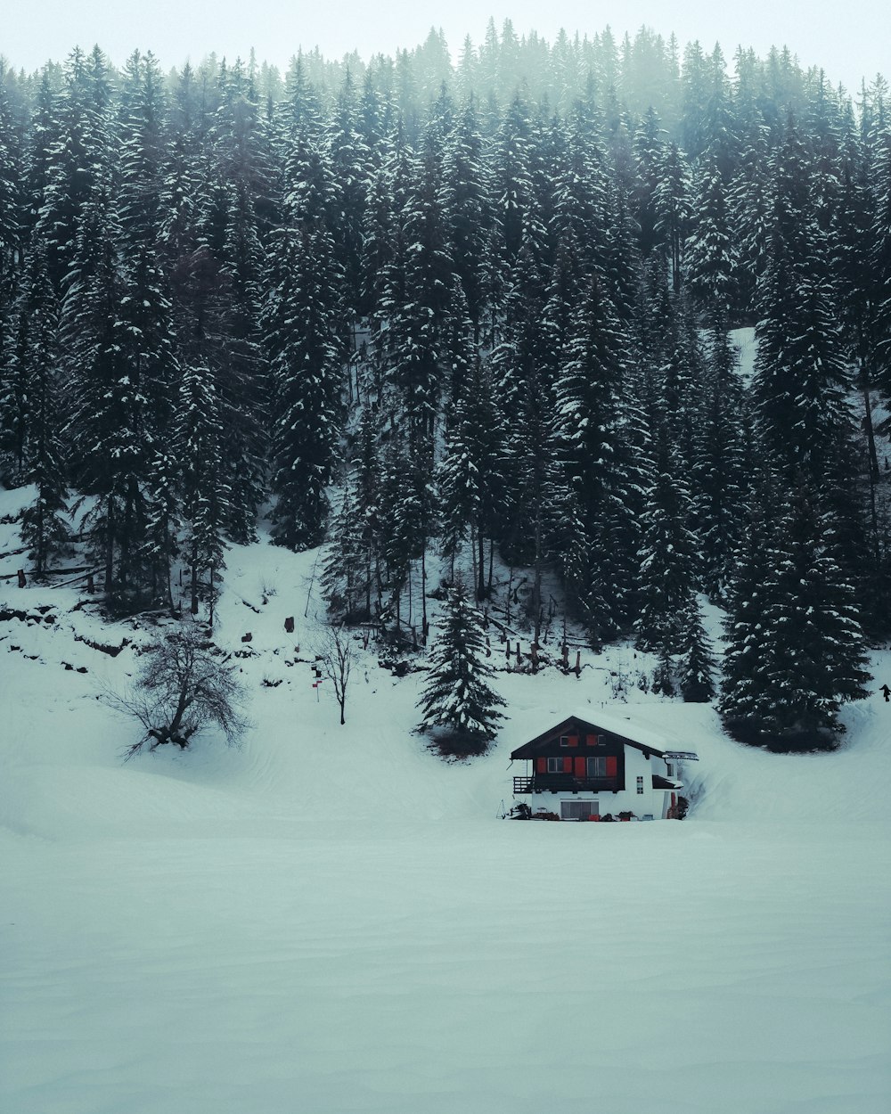 a cabin in the middle of a snowy forest