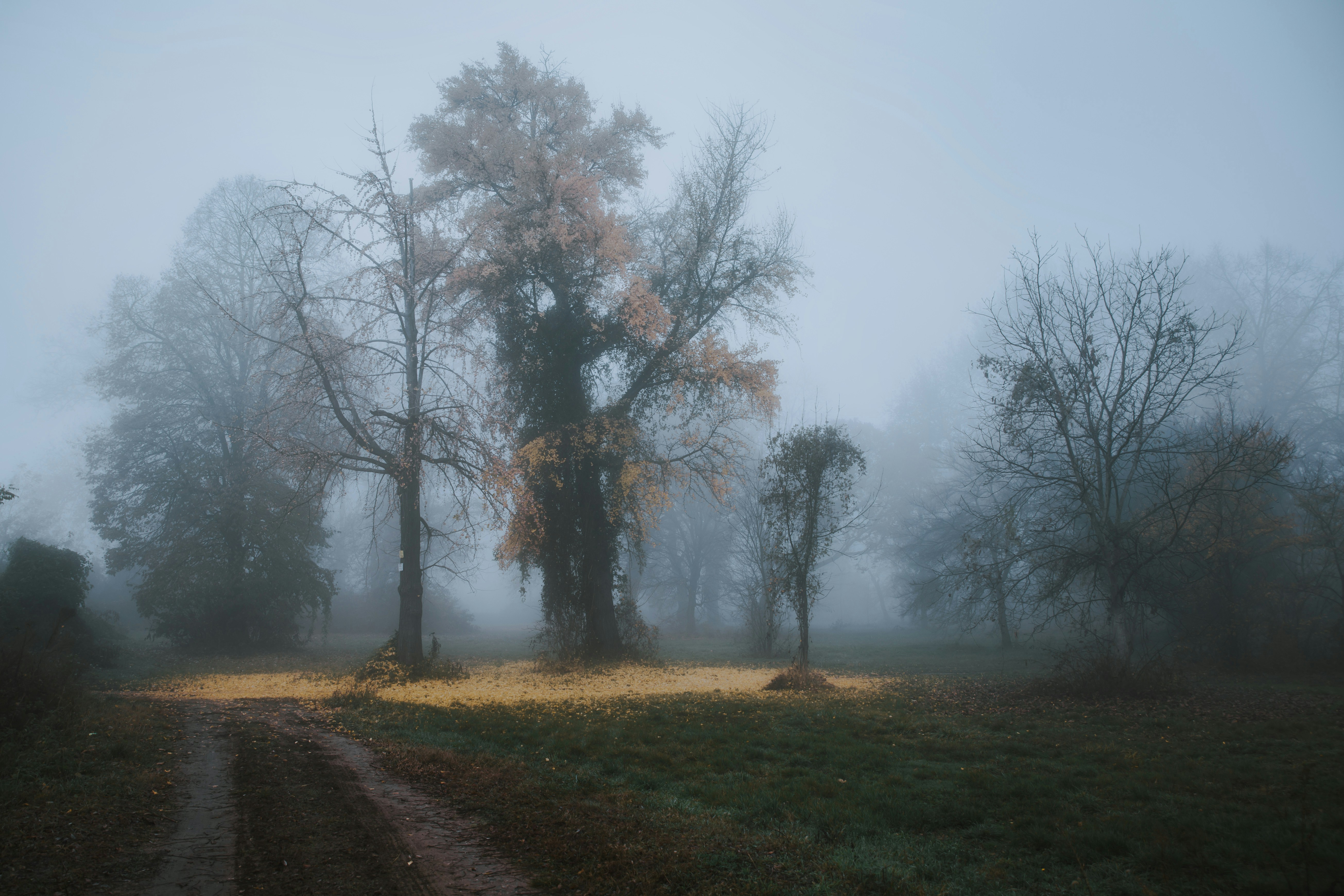 Photo by sylvester_s