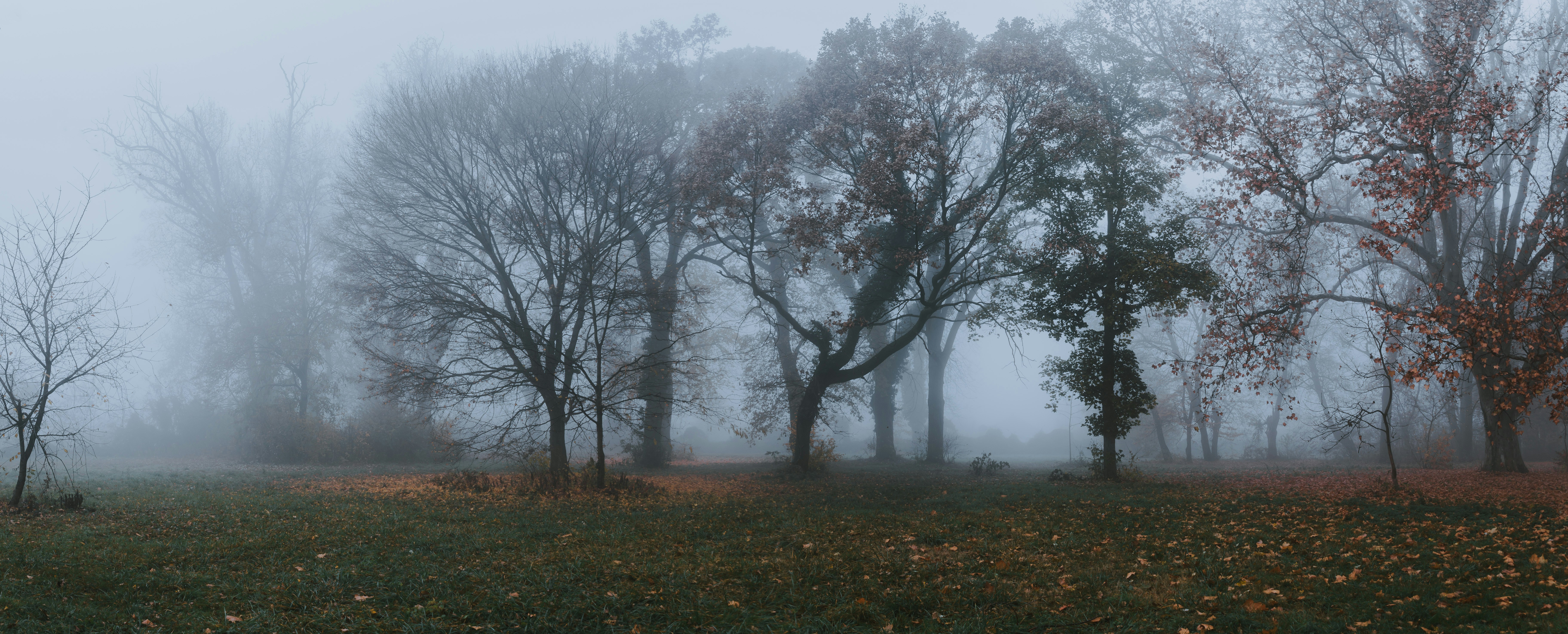 Photo by sylvester_s