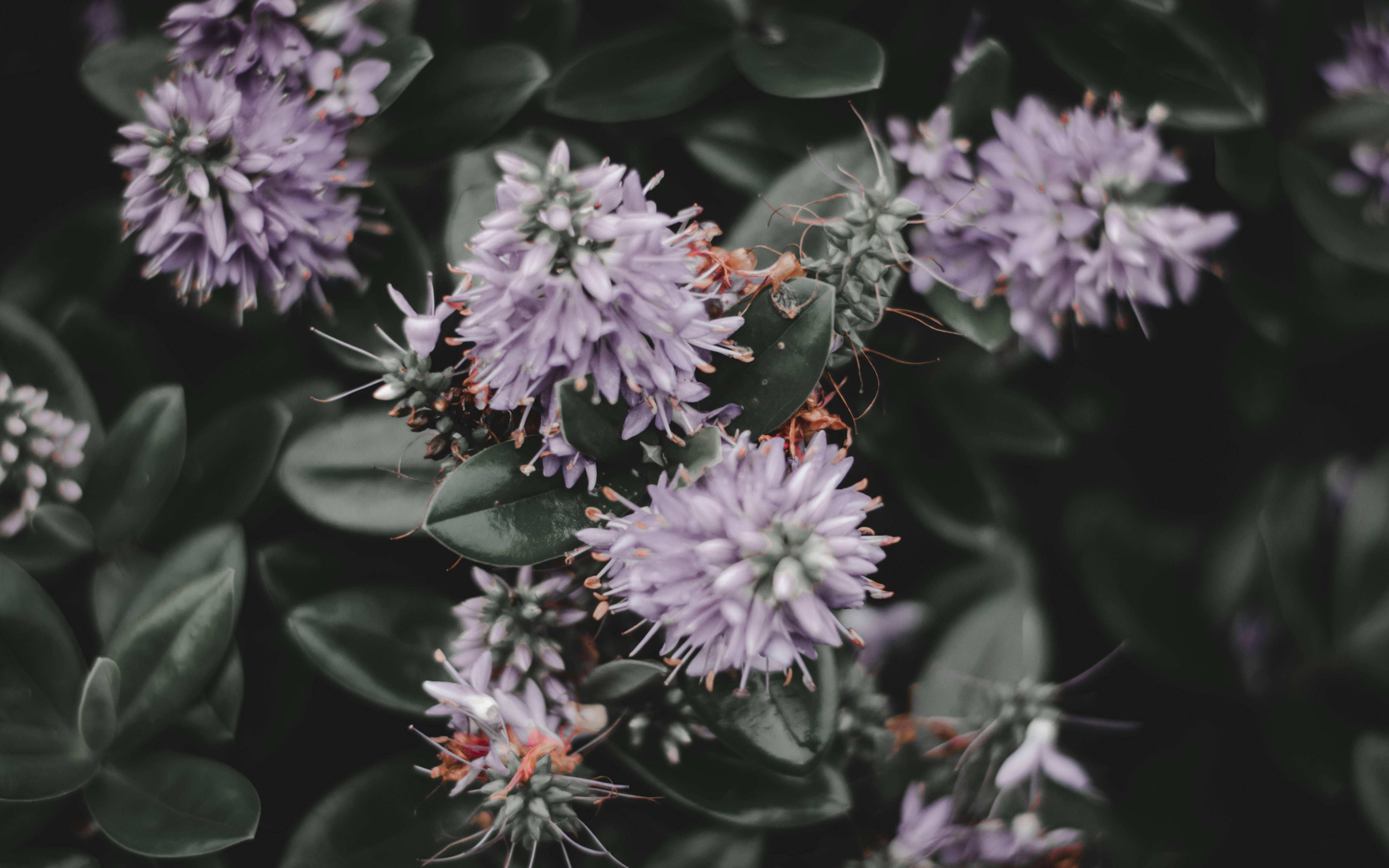 Photo by elliottmason