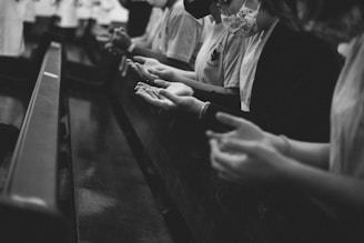 a group of people sitting at a bar