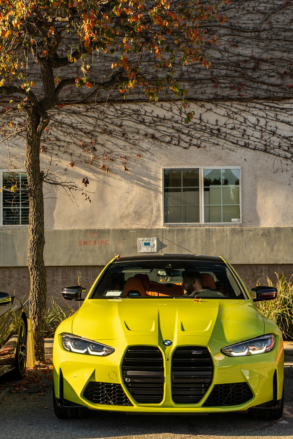 a yellow sports car parked next to a tree