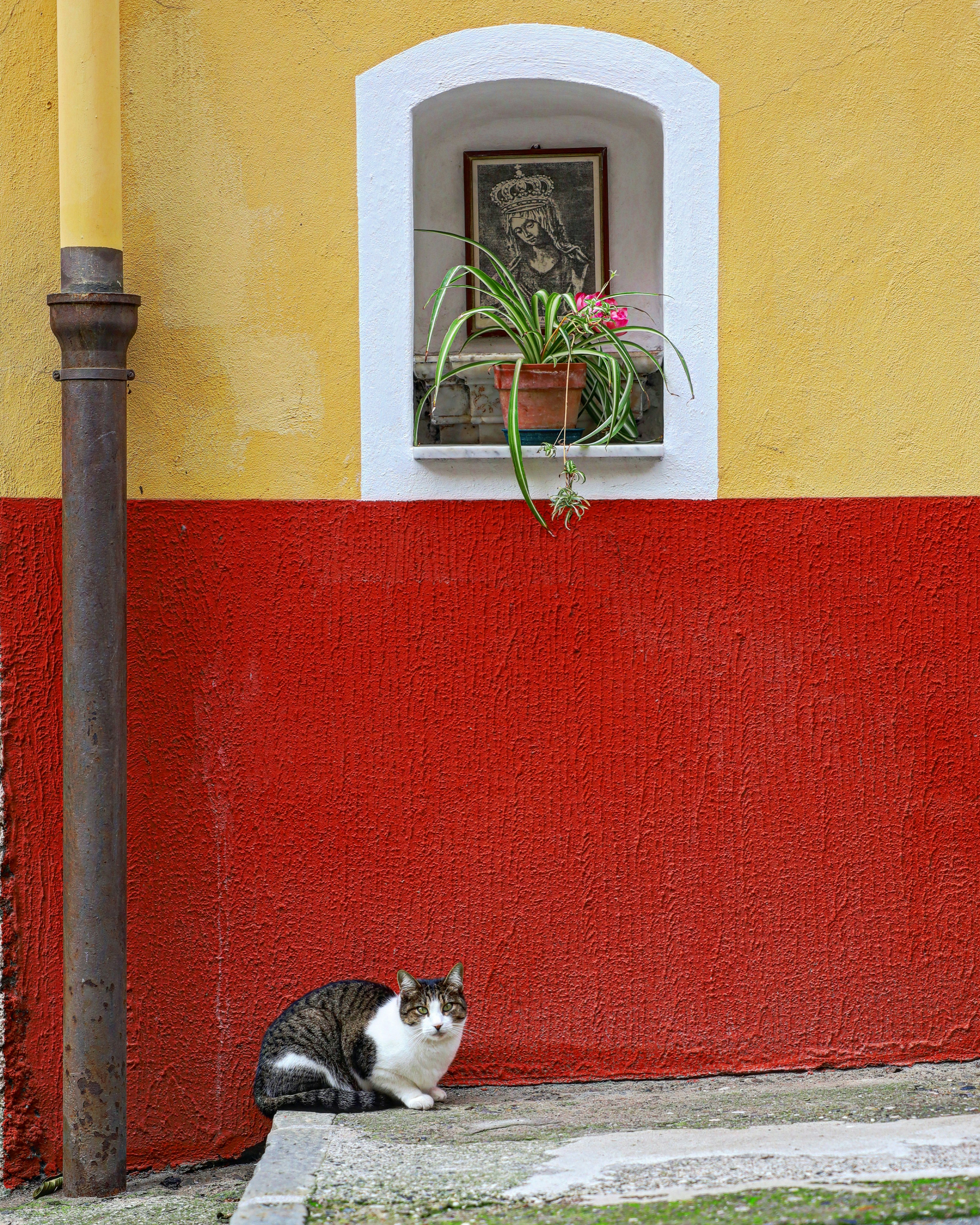 Photo by claudiopoggio