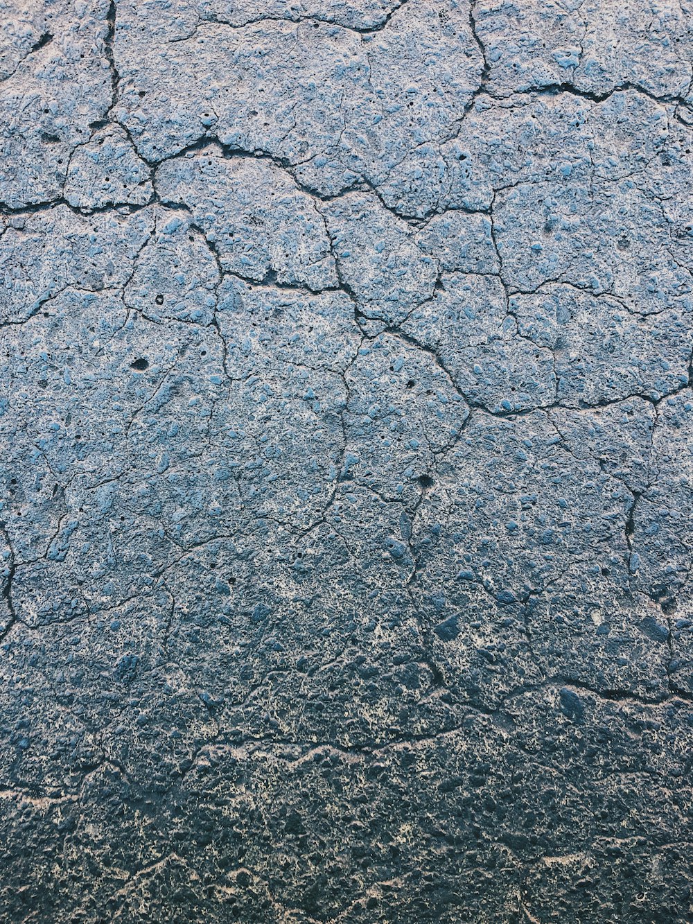 a bird is standing on the cracked surface of the ground