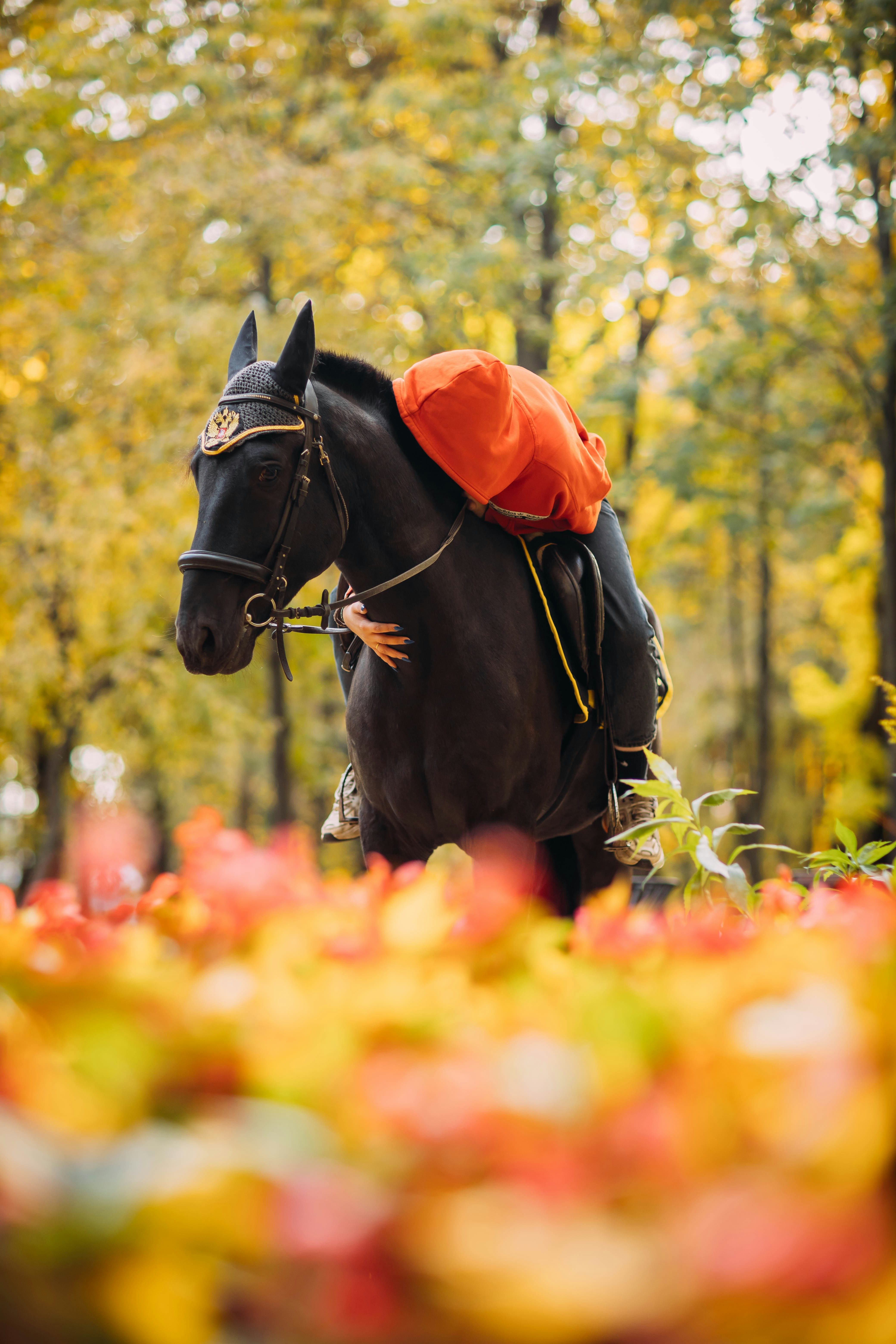 a man riding a horse through a lush green forest