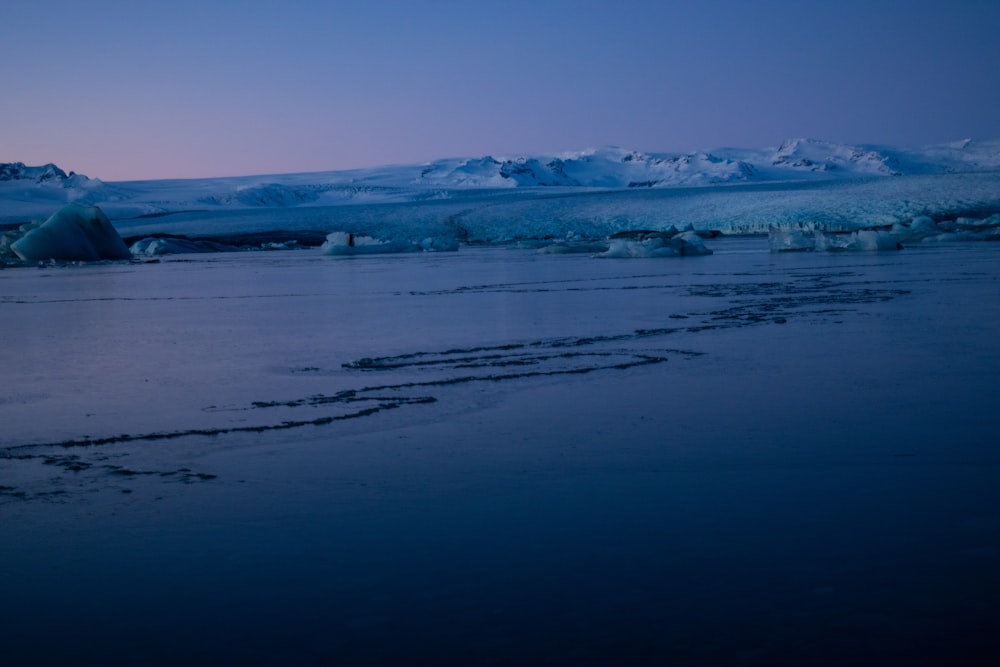 a body of water with icebergs in the background