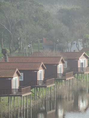 Several wooden cabins with red roofs are elevated on stilts above a calm body of water, reflecting their images. The cabins are aligned in a row, facing the water. Surrounding the area are trees with sparse foliage, indicating a colder season or early spring. The overall setting appears to be tranquil and natural.