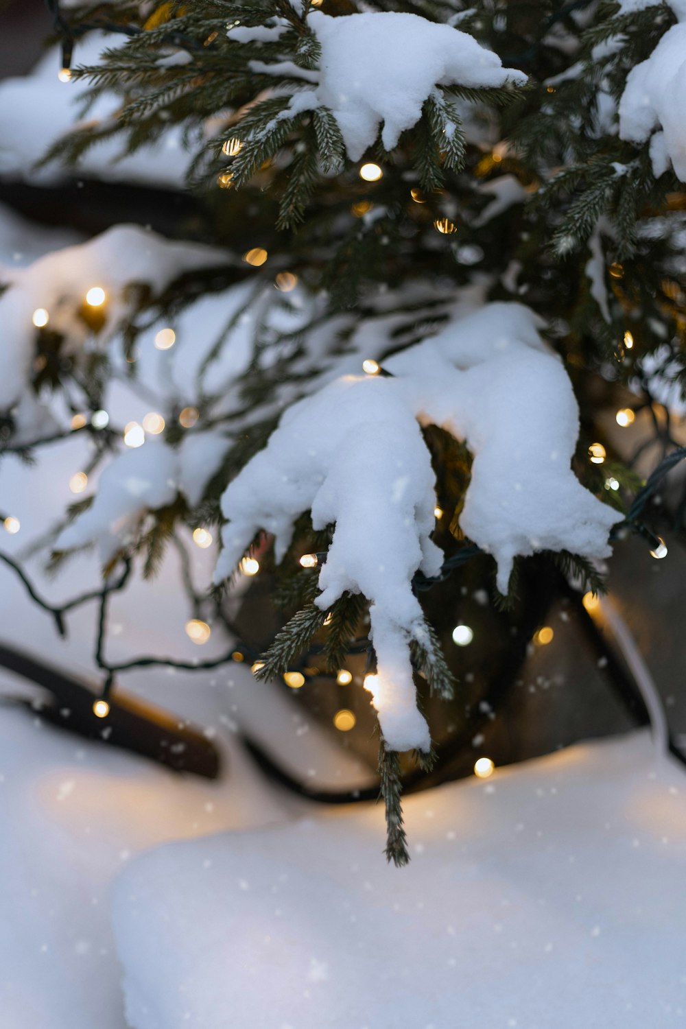 a small christmas tree is covered in snow