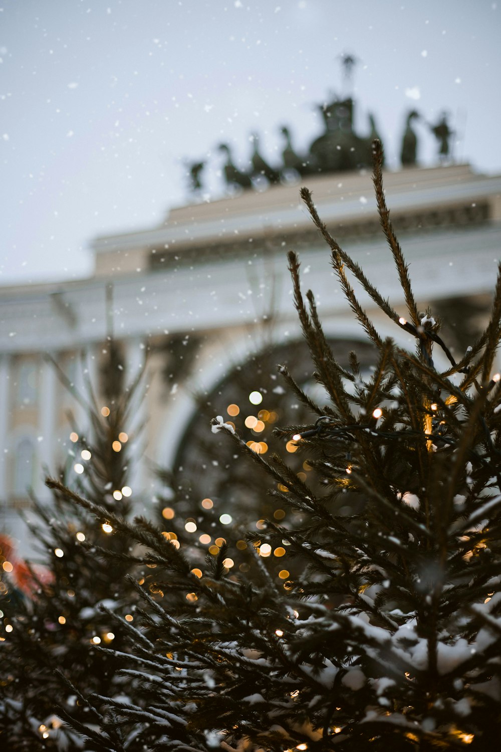 a close up of a christmas tree with a building in the background