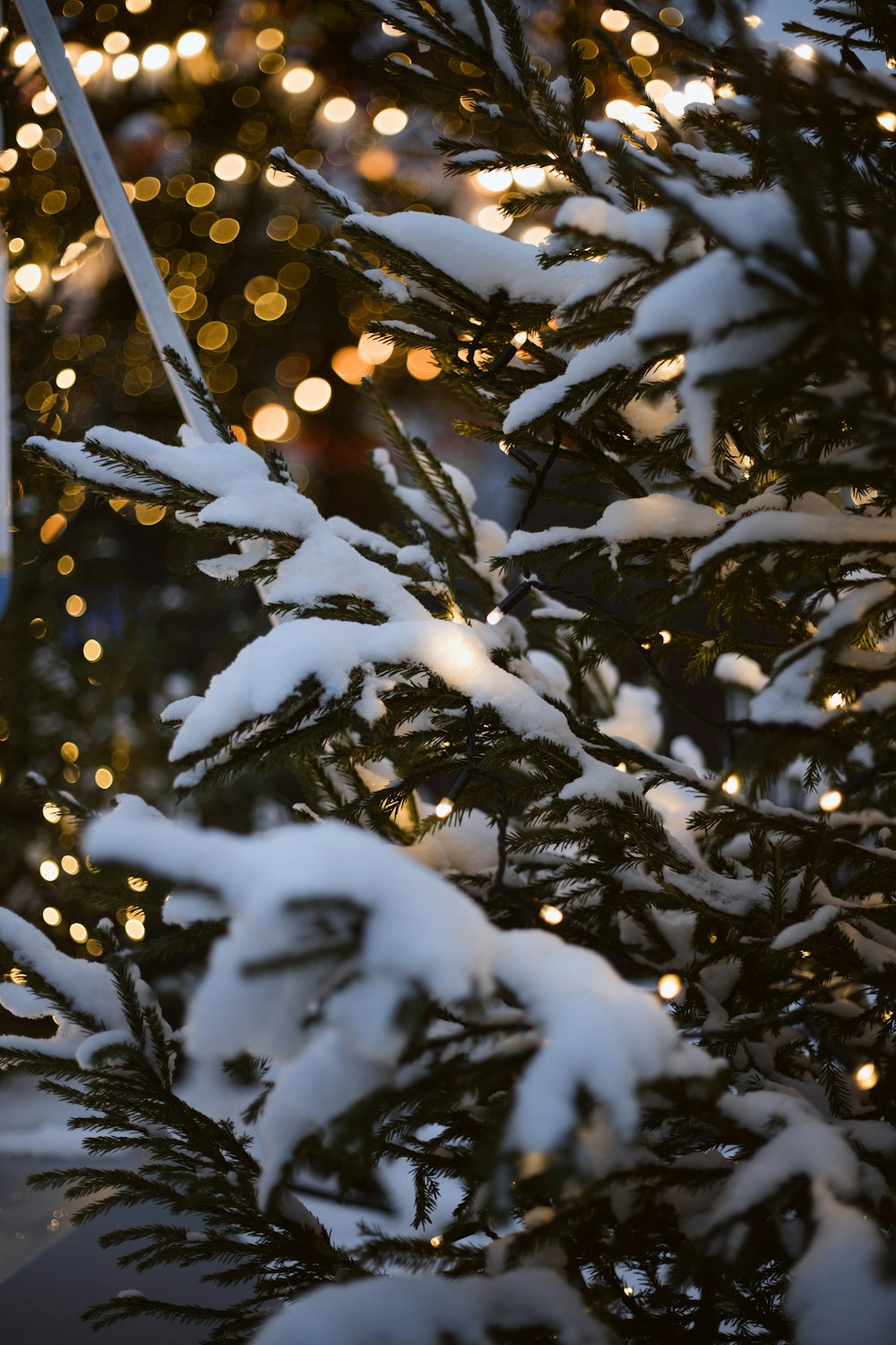 a street sign covered in snow next to a tree