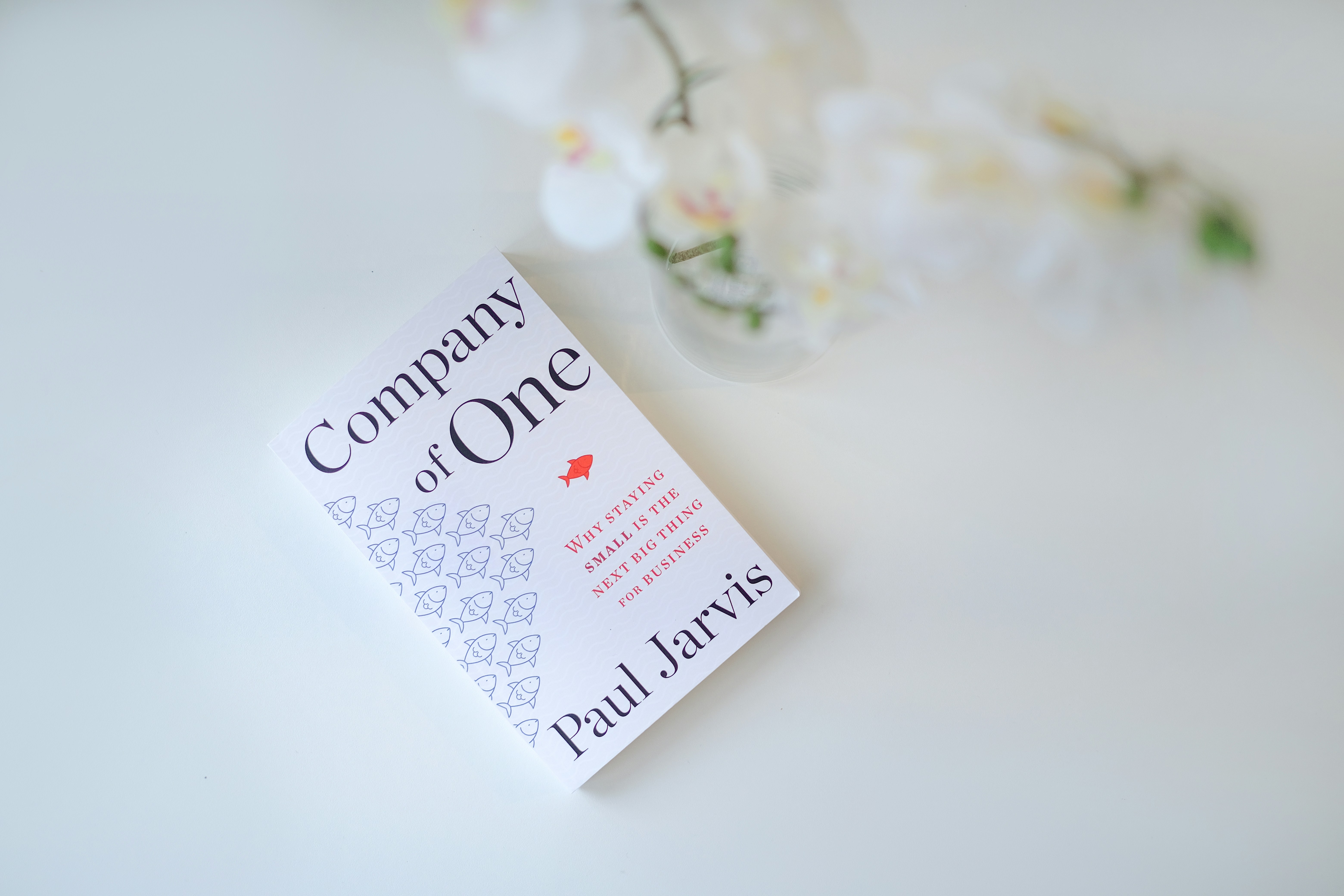 Company of One book cover
