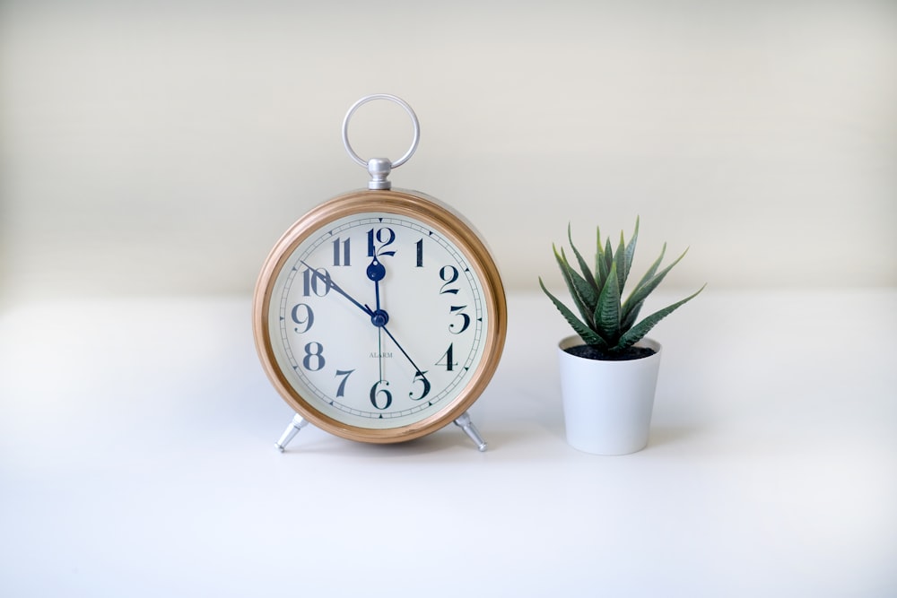 a clock next to a potted plant on a table
