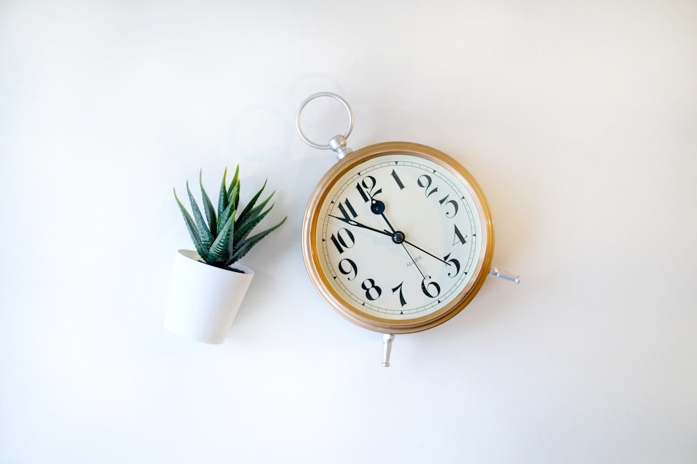 Un reloj en una pared junto a una planta en maceta