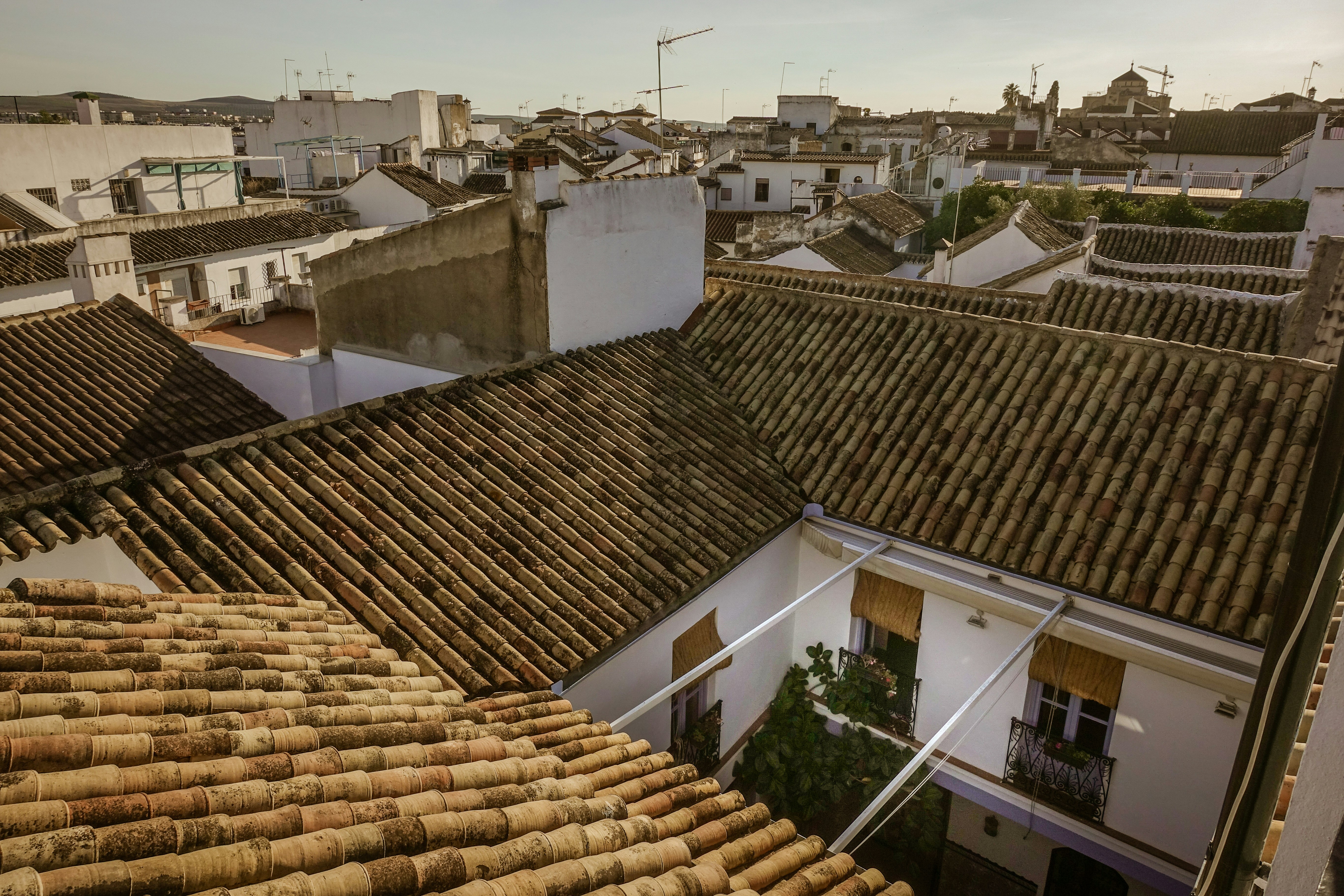 Photo by kristofer2482