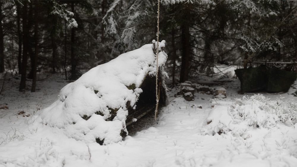 a tire swing is covered in snow in a wooded area