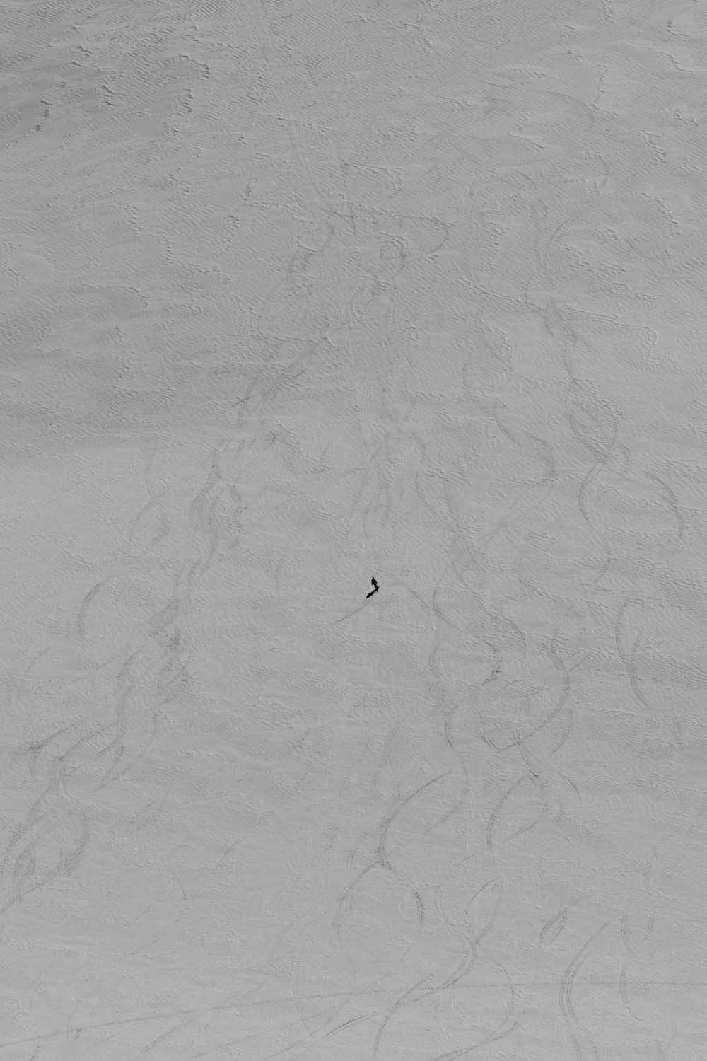 a person riding skis down a snow covered slope