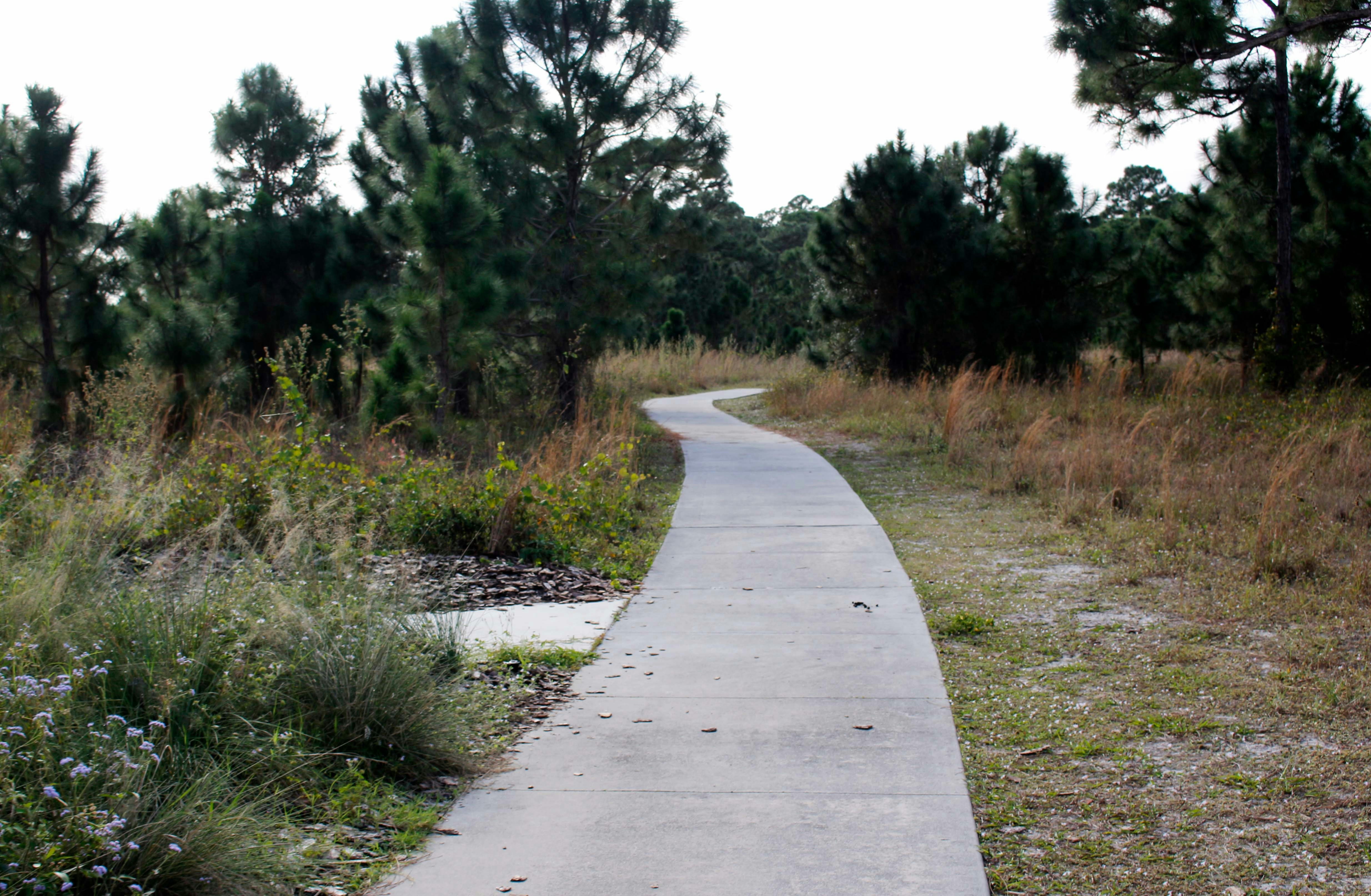 jalan beraspal di tengah ladang