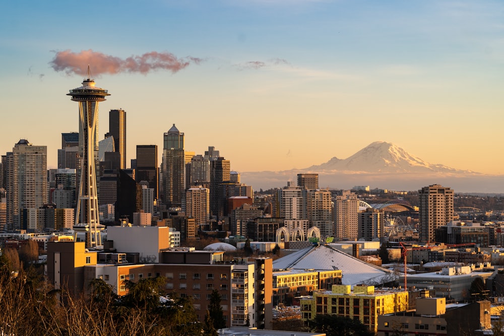 a view of a city with a mountain in the background