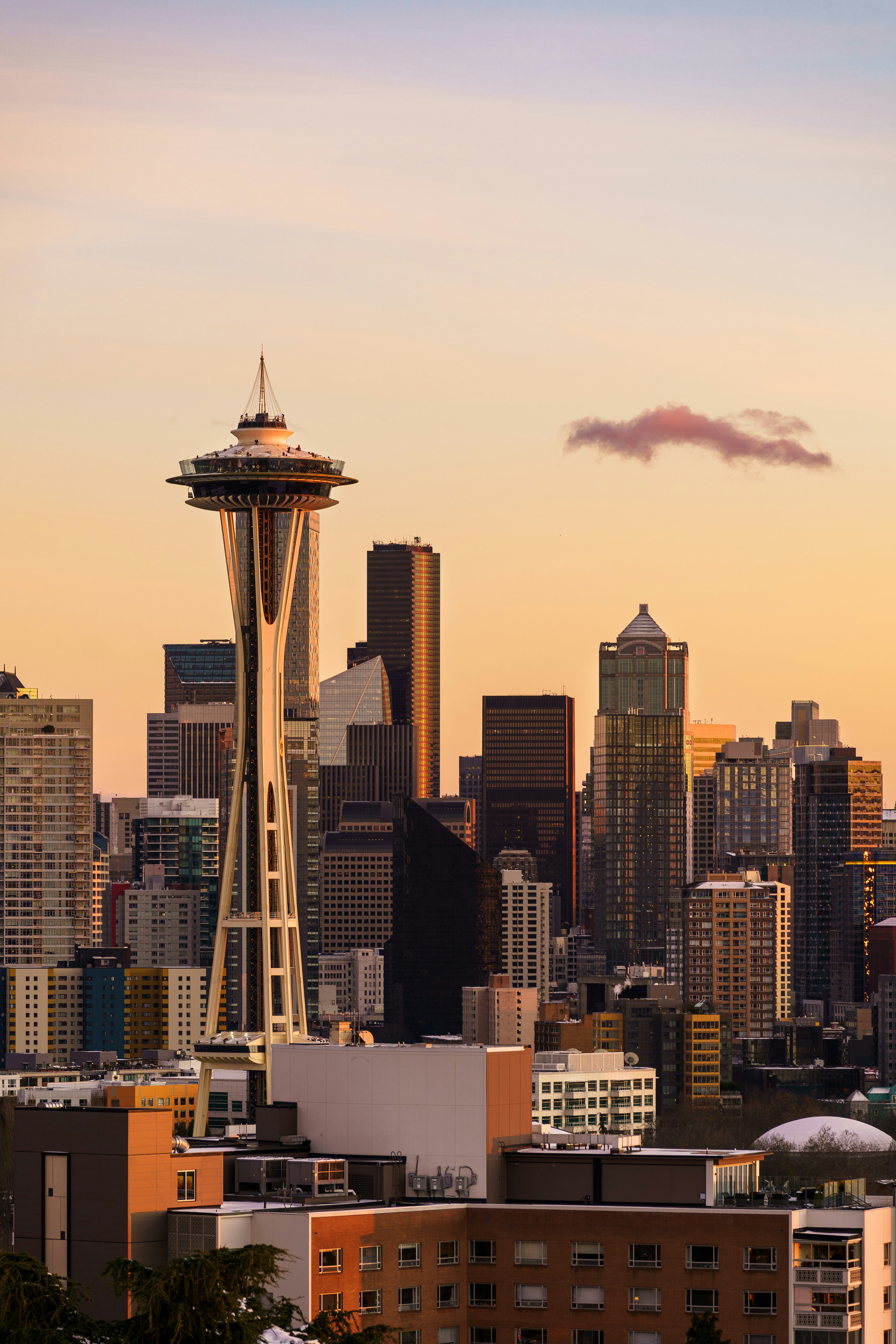 6 Must-Have Features for Your Restaurant Renovation