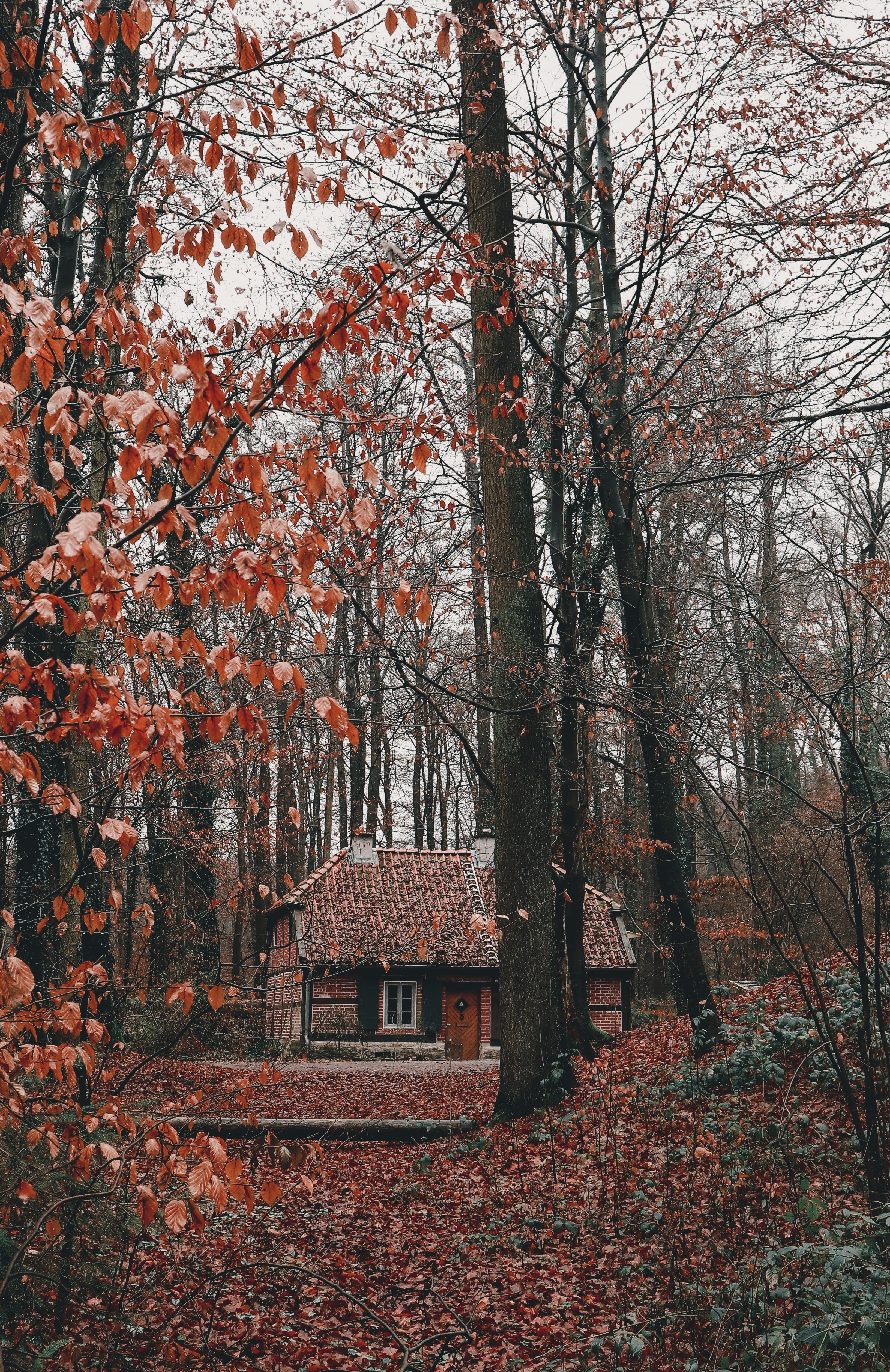 Photo by leakatharinafr