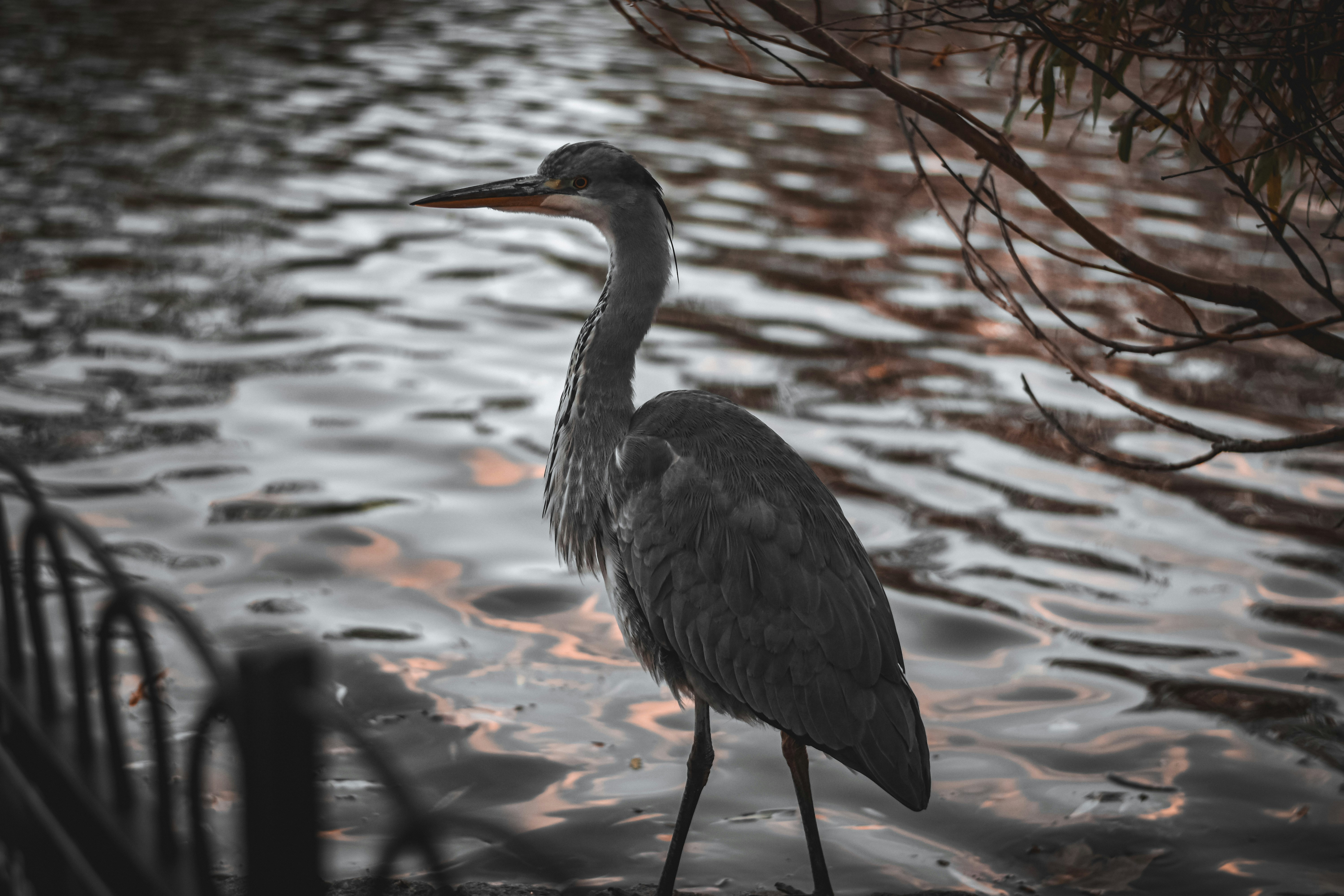 Photo by elliottmason