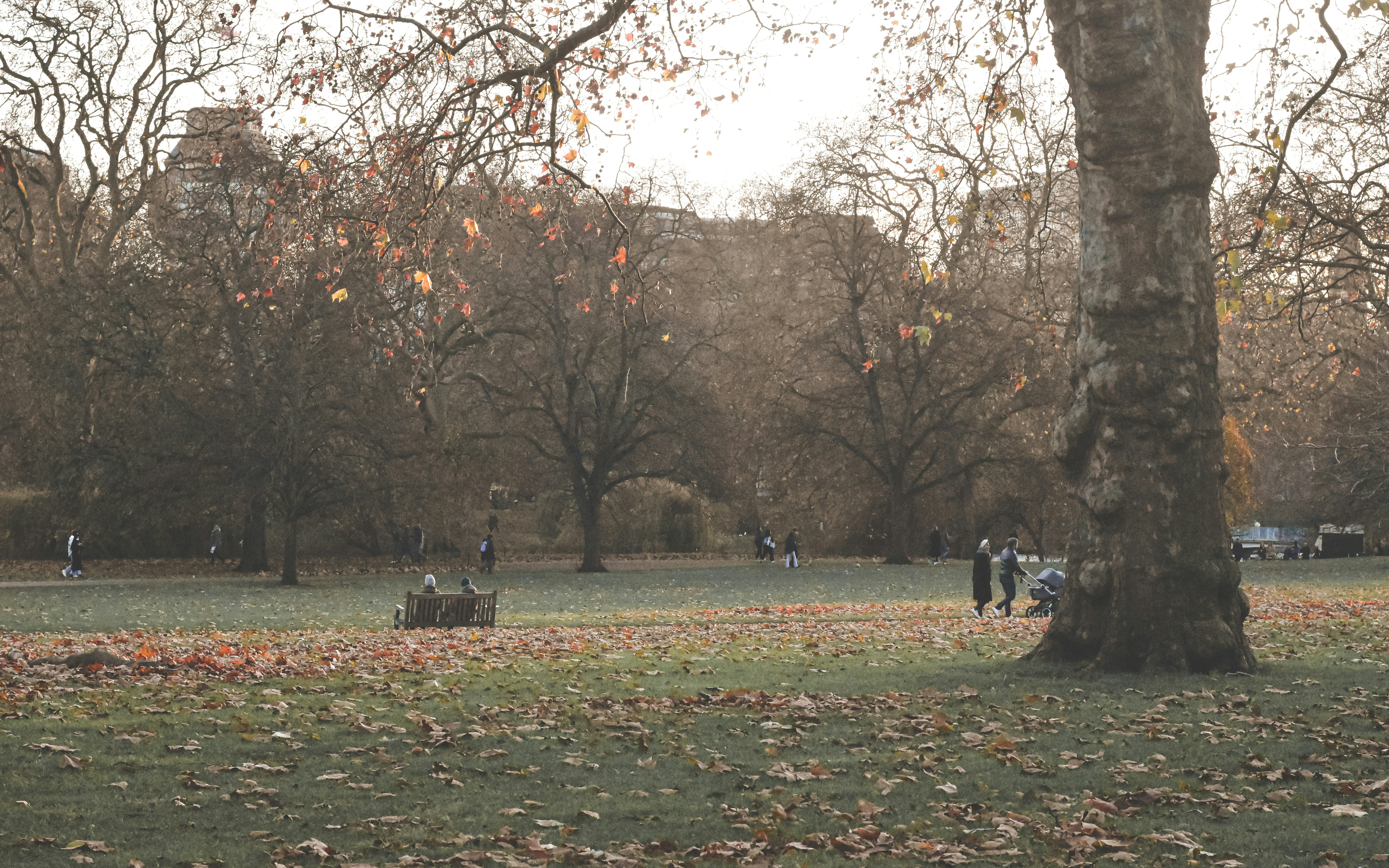 Photo by elliottmason