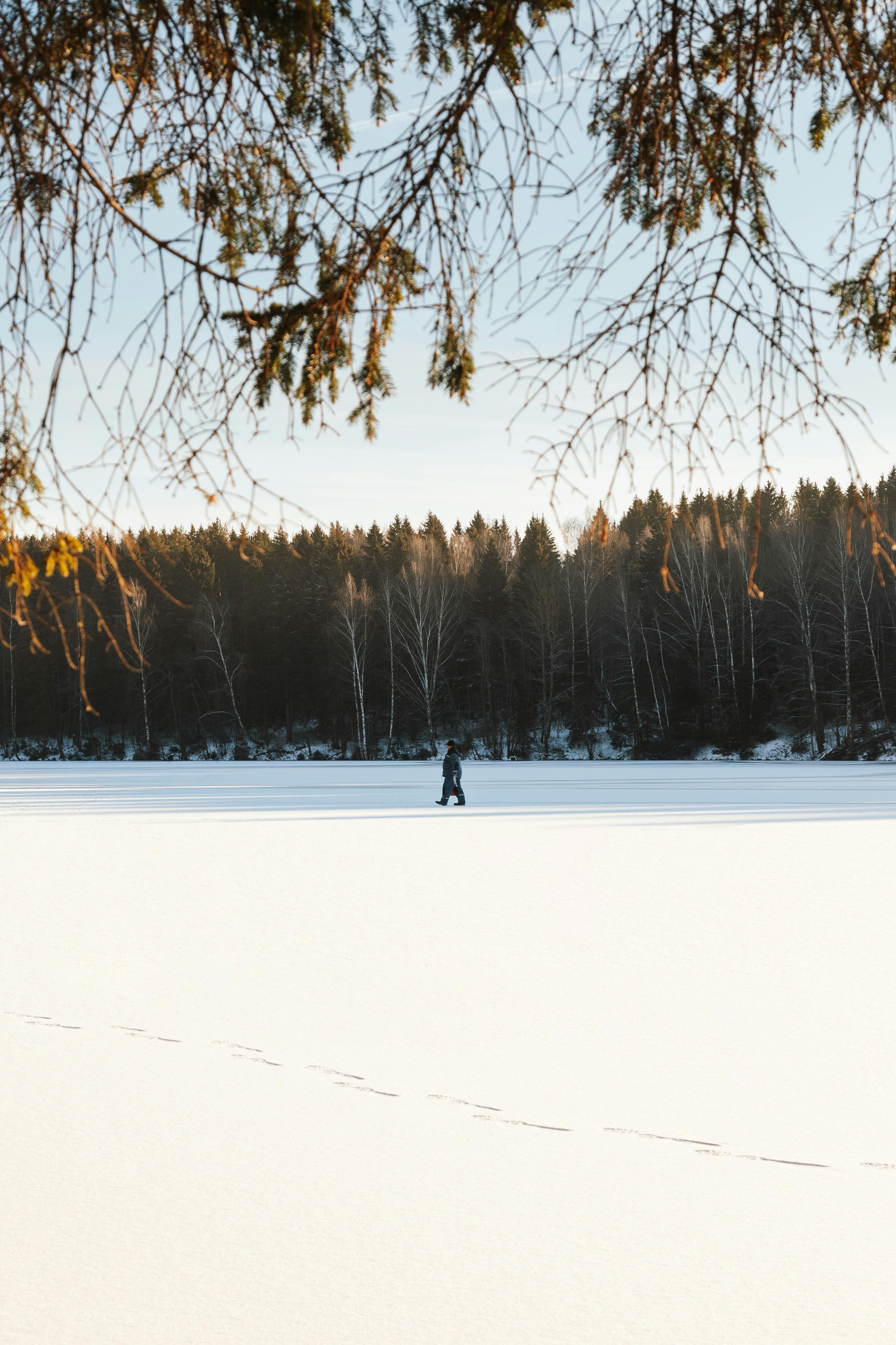Photo by nikita_pishchugin