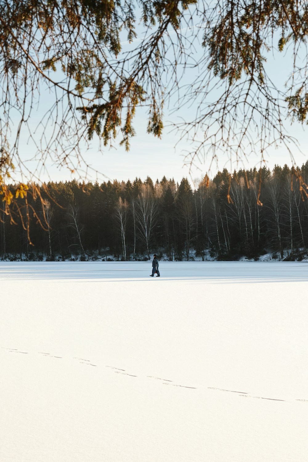 a person walking across a snow covered field